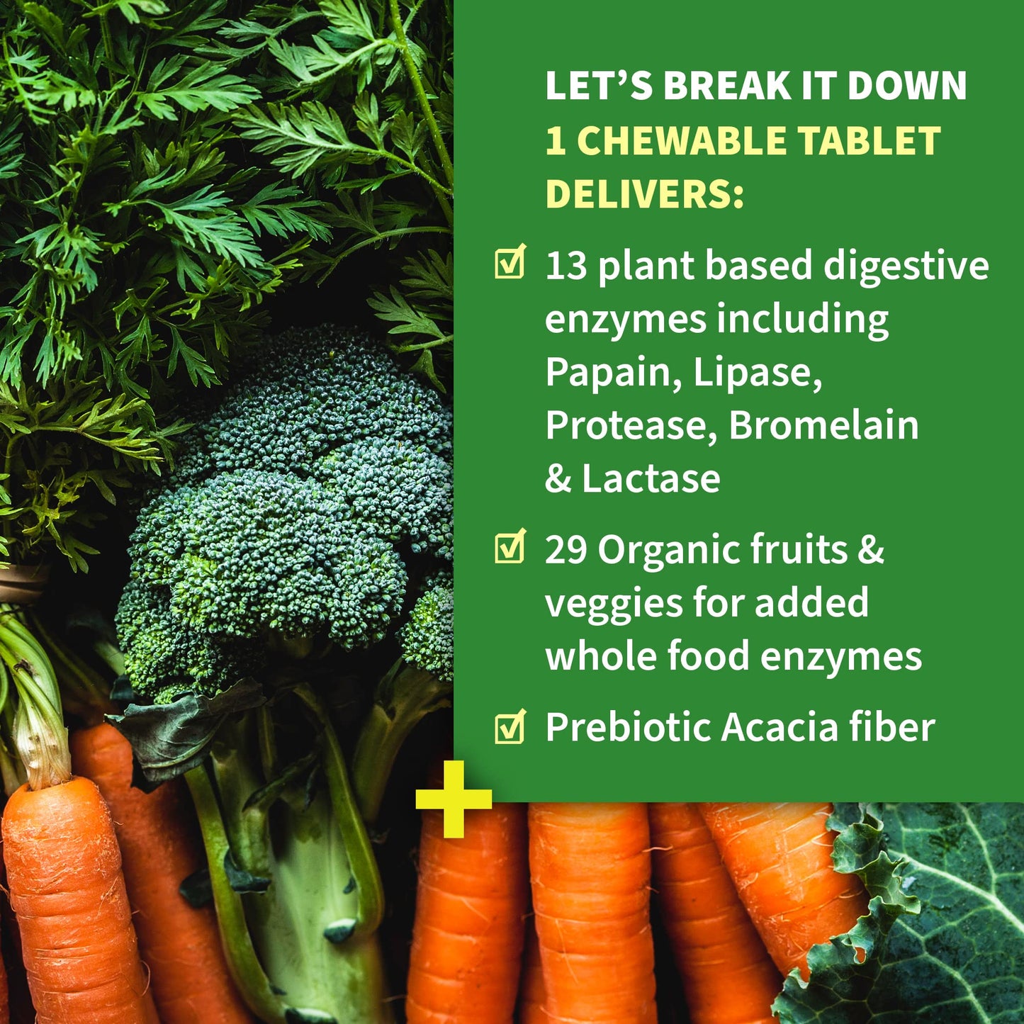 Garden of Life Digestive Enzymes with Papain, Bromelain and Lipase for Nutrient Absorption and Digestion Support Chewables 540