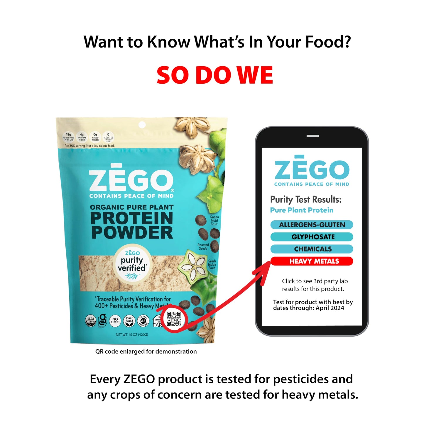 ZEGO Organic 100% Sacha Inchi Seed Protein Powder, 15 oz