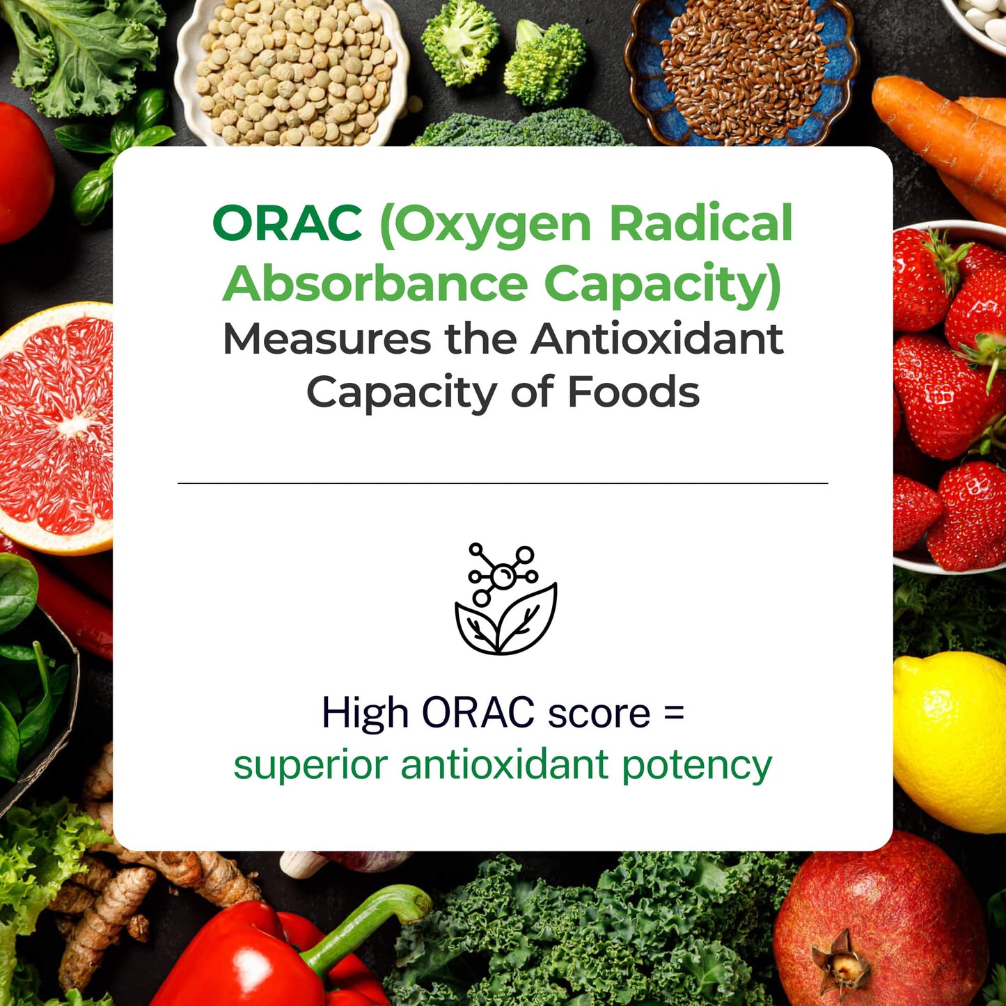 Paradise Herbs ORAC Energy Greens Powder Extract, Super Antioxidants, Probiotics for Gut Health & Digestion, Vitamin C for Immunity, with Spirulina & Chlorella, Non-GMO, Gluten Free, Powder, 60 Servings