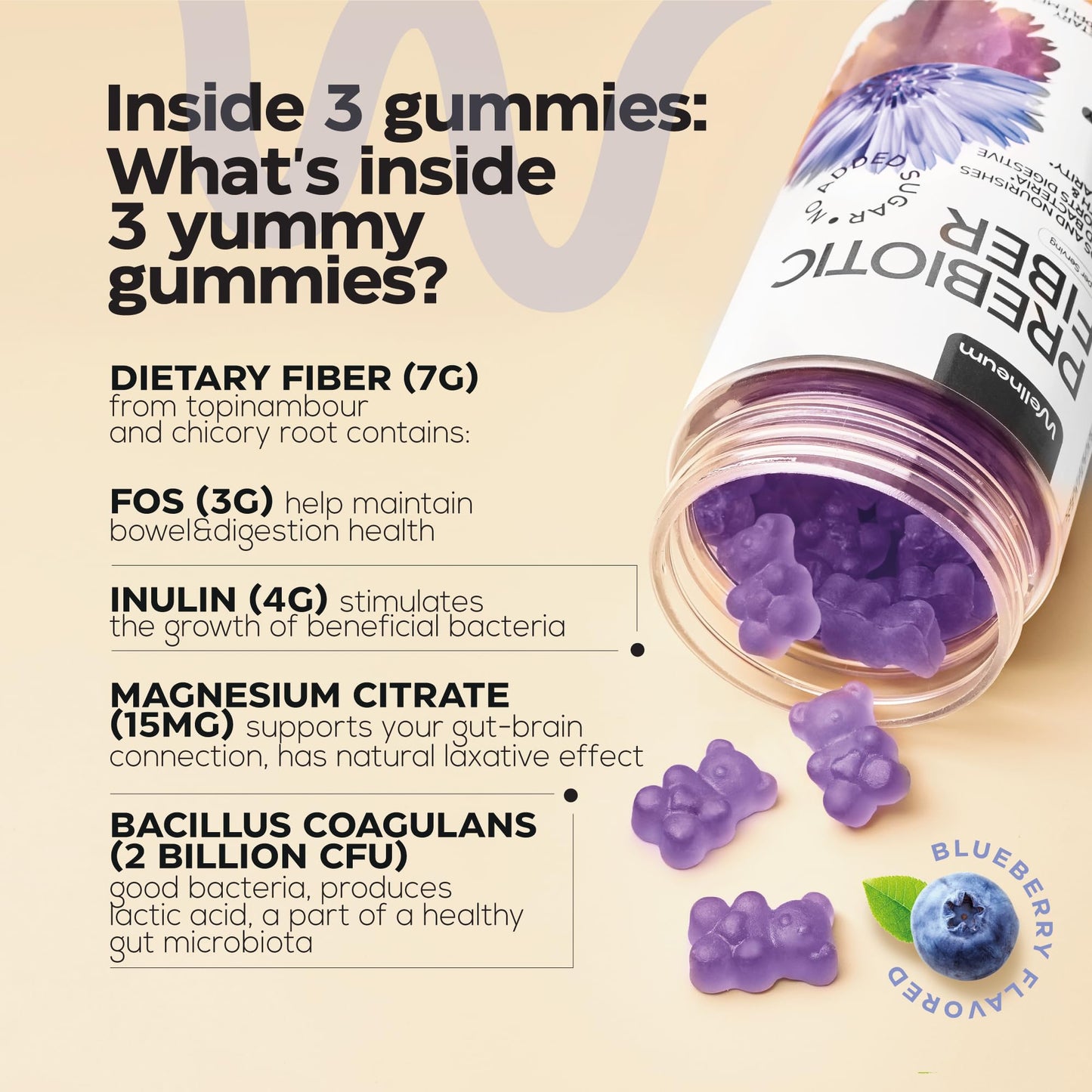 Wellneum High Prebiotic Fiber Gummies 160 Count