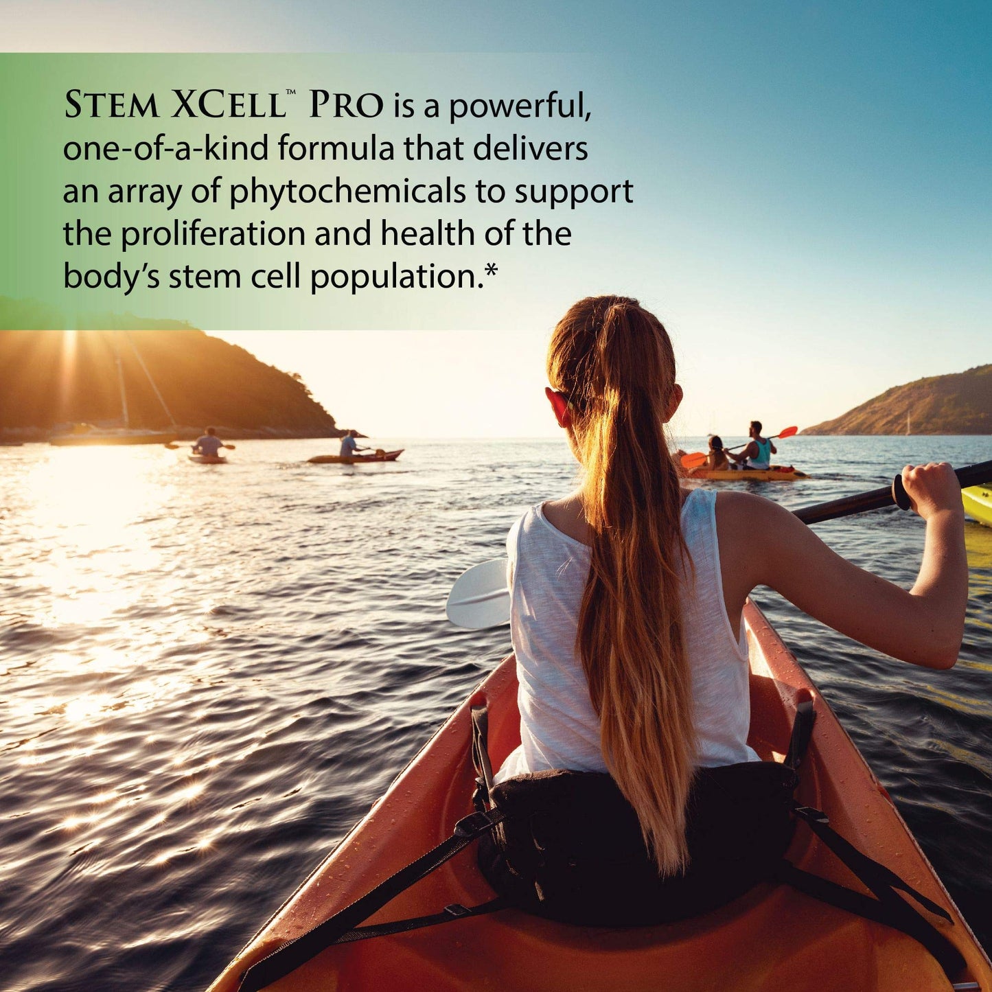 Enzyme Science Graceful Aging Bundle with PEA 60 Capsules, Stem XCell Pro 60 Capsules, Telomere 30 Capsules