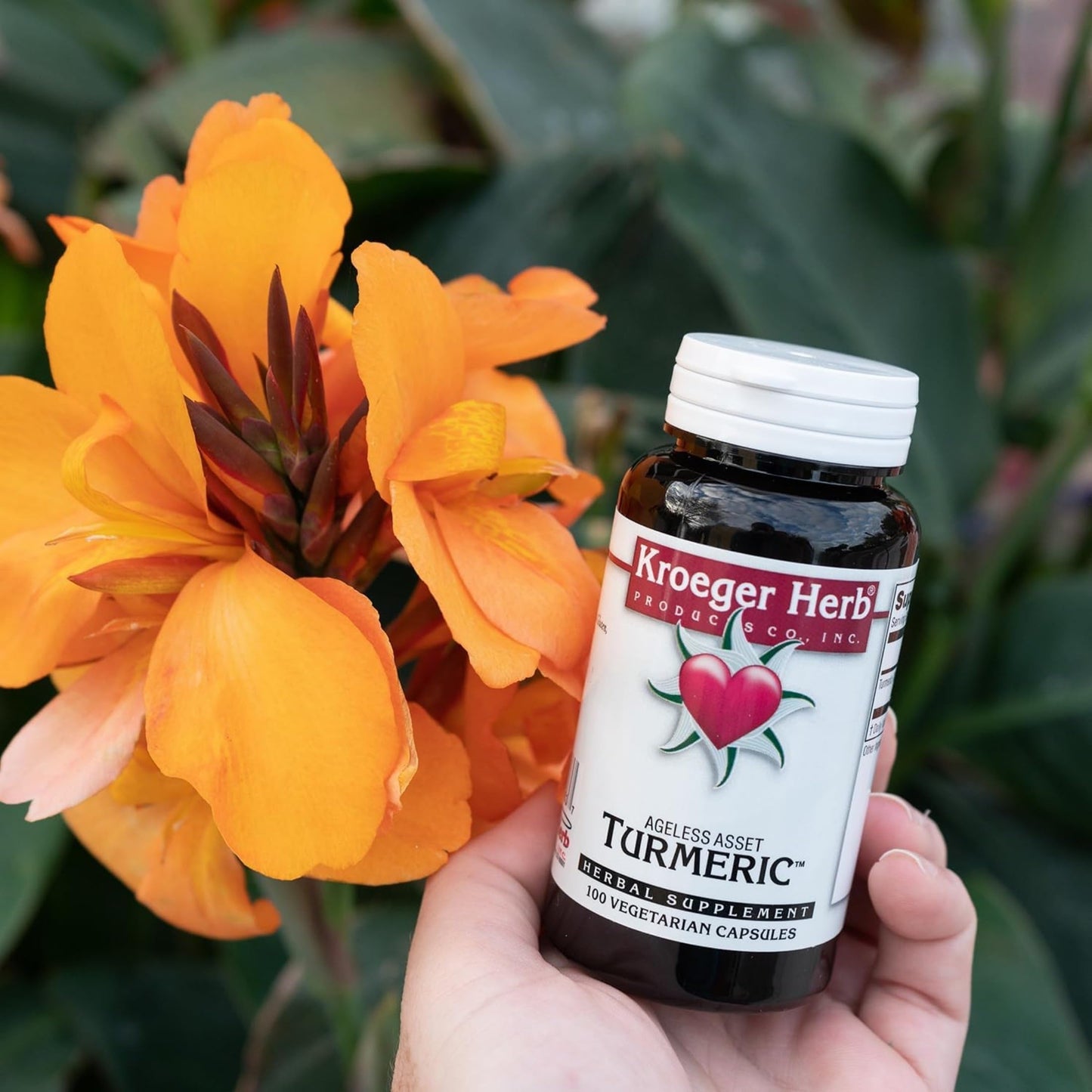 Kroeger Herb Products Turmeric Capsules, 100 Count
