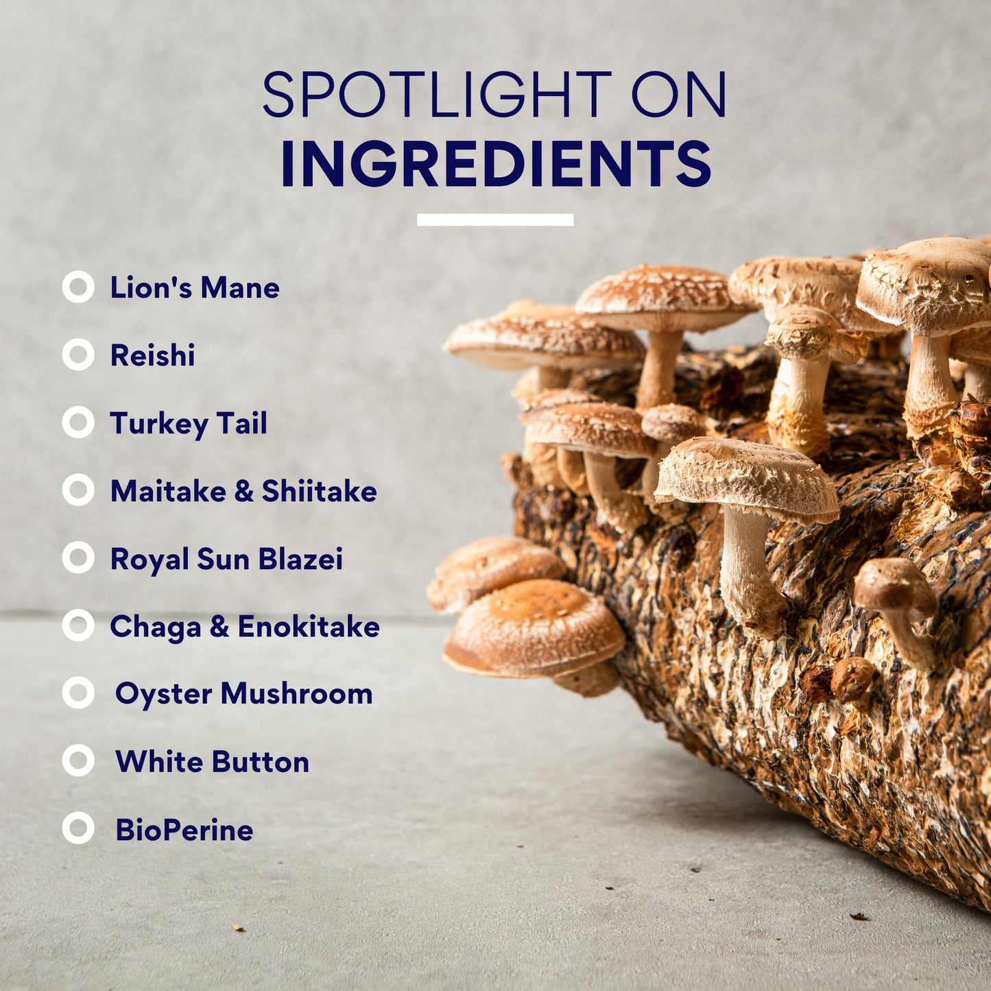 Research Verified Mushroom Complex Capsules 360