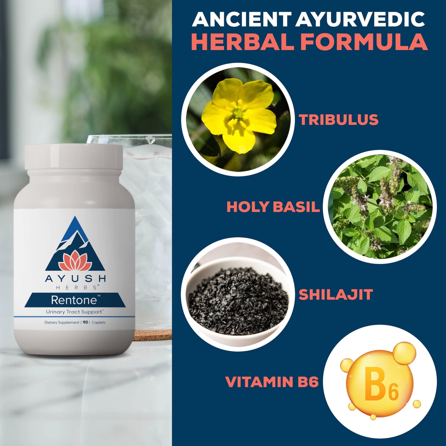 Ayush Herbs Rentone Kidney Support with Cranberry Caplets 90 Count