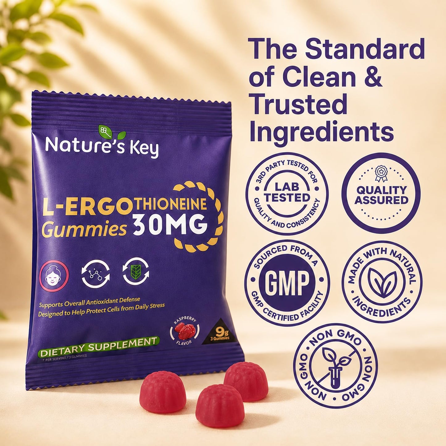 Nature's Key Ergothioneine Gummies, 10 Pouches