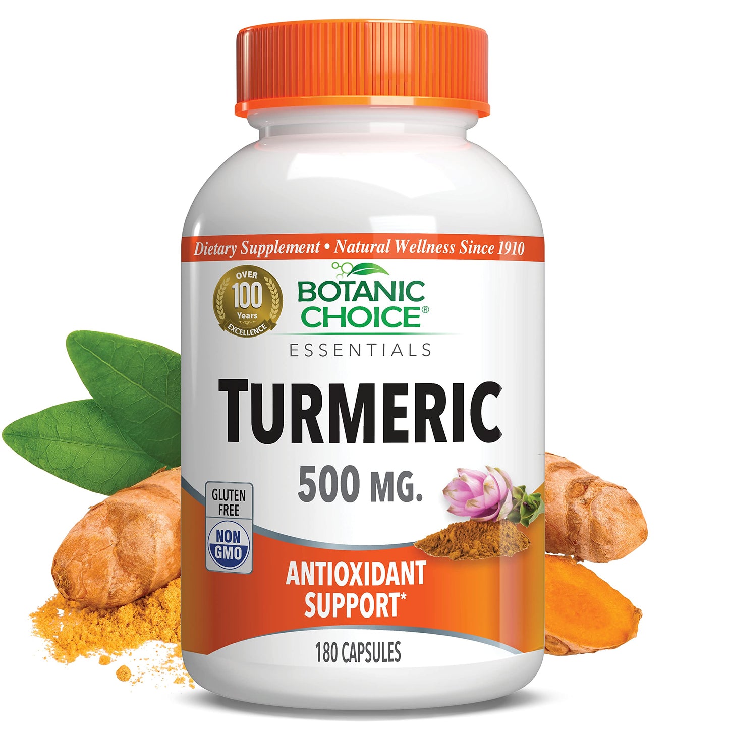 Botanic Choice Premium Turmeric Antioxidant Support - Joint Health Supplement for Adults - 180 Capsules
