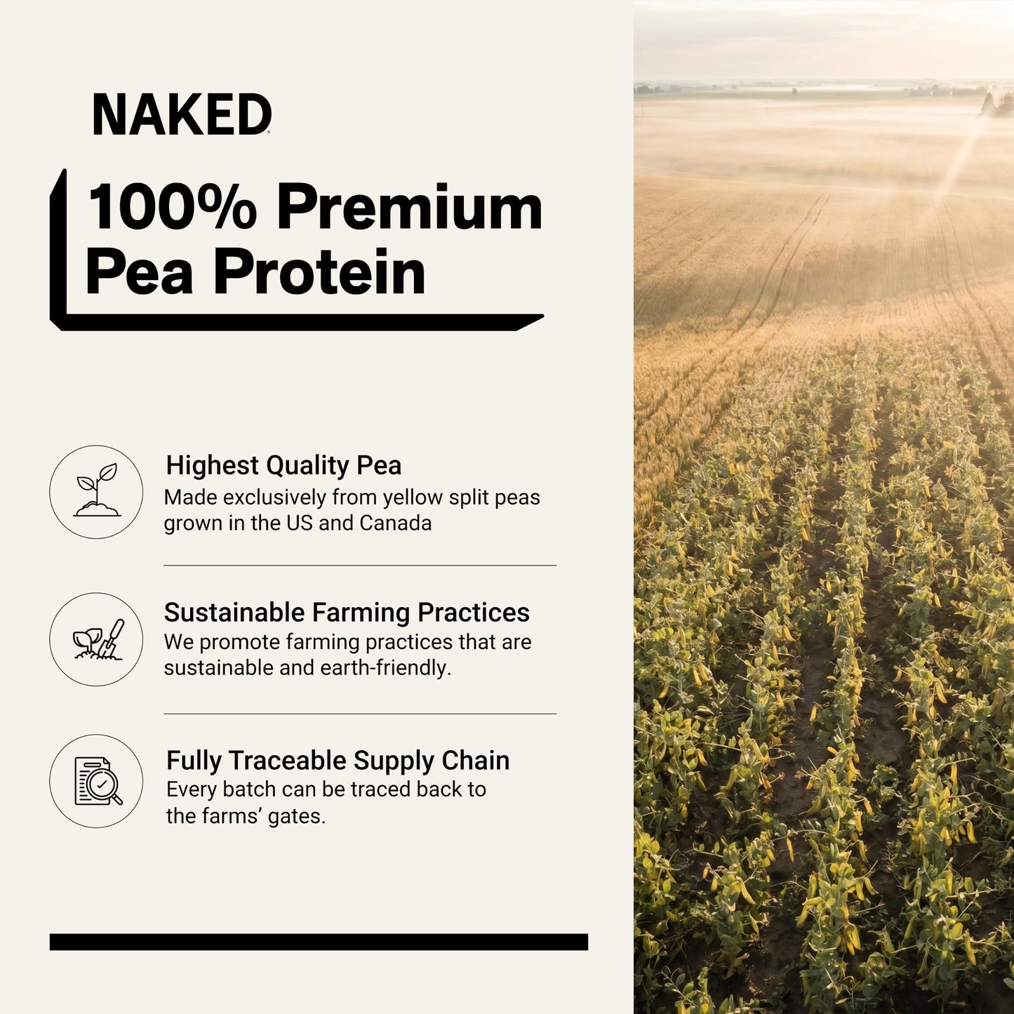 NAKED Pea Protein Powder, Chocolate Peanut Butter Flavor, 80 Servings