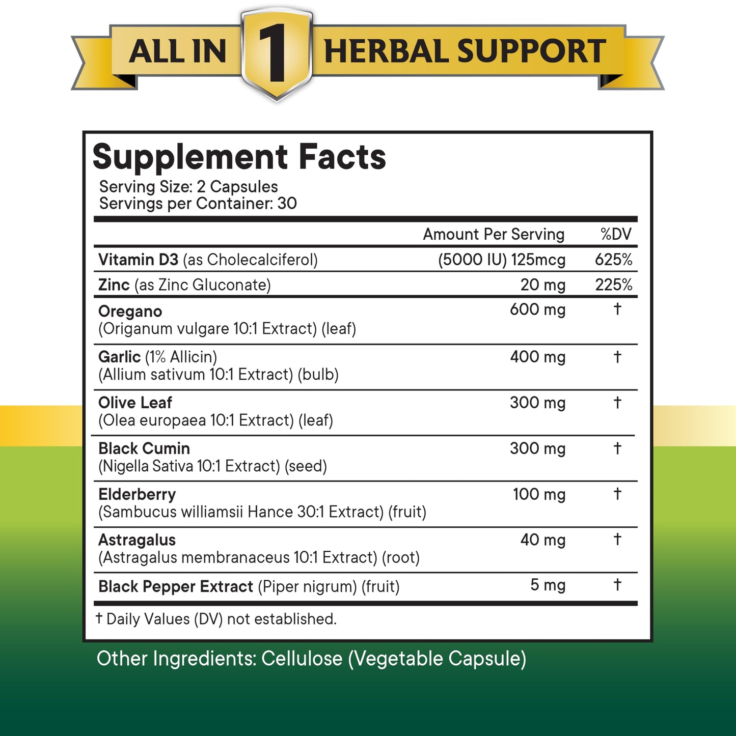 NEW AGE Oregano Oil Garlic Extract Olive Leaf with Astragalus Capsules 60 Count