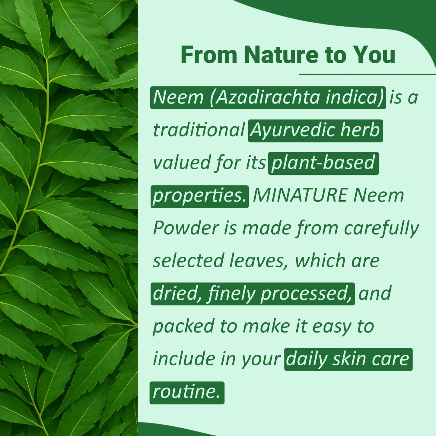 Minature Neem Leaf Powder 3.5 oz