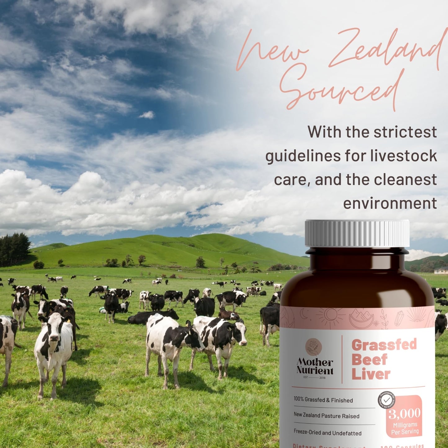 Mother Nutrient Grass Fed Beef Liver Capsules 180 Count