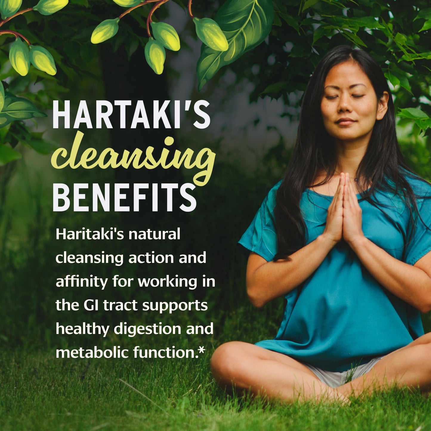 Banyan Botanicals Organic Haritaki Powder 16 Ounce (Pack of 1)
