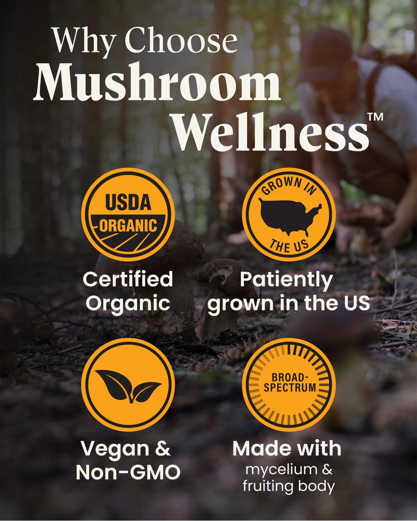 Herb Pharm Mushroom Wellness Lion’s Mane Blend with Reishi Capsules, 90 Capsules