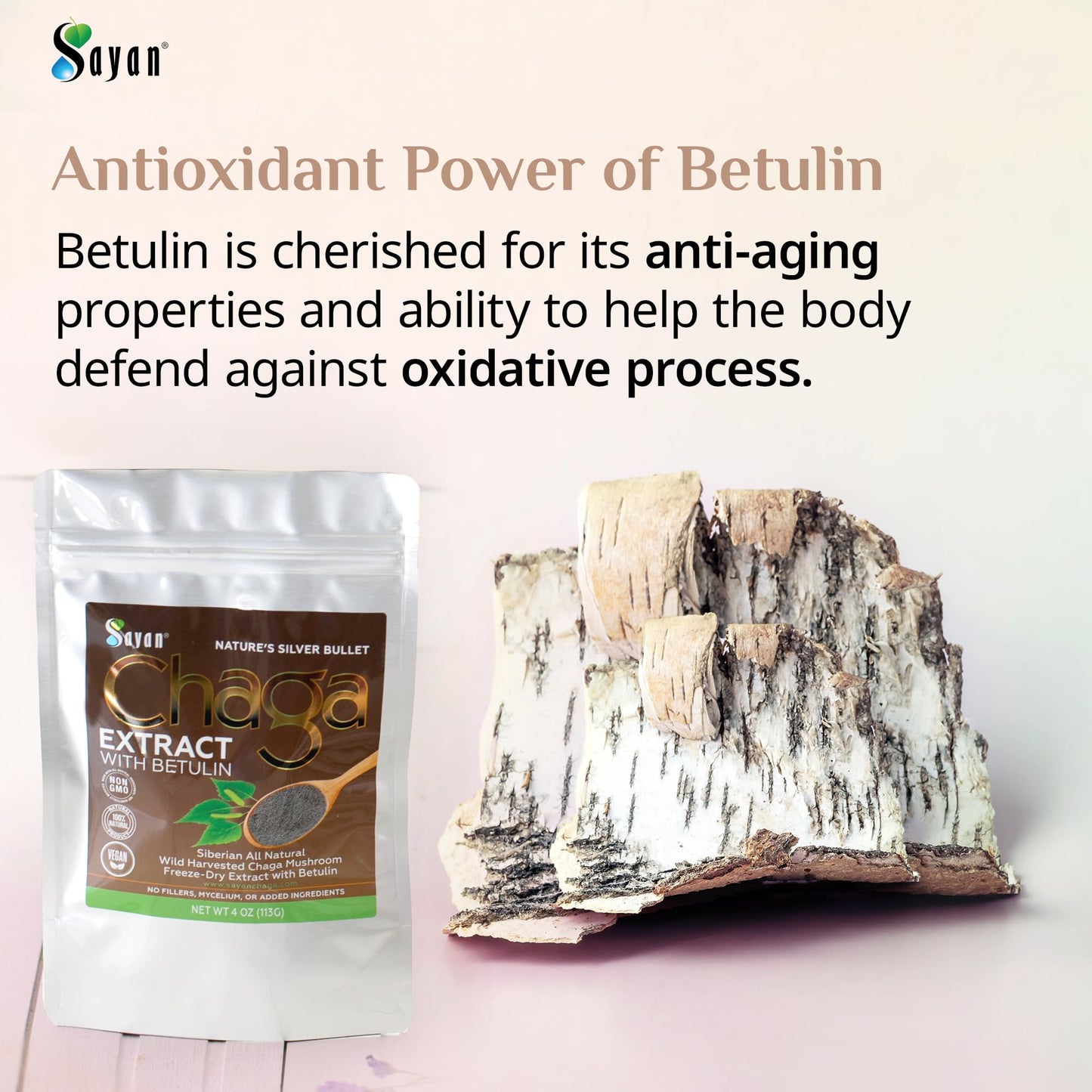Sayan Siberian Chaga Mushroom Extract with Betulin Powder, 35.2 oz