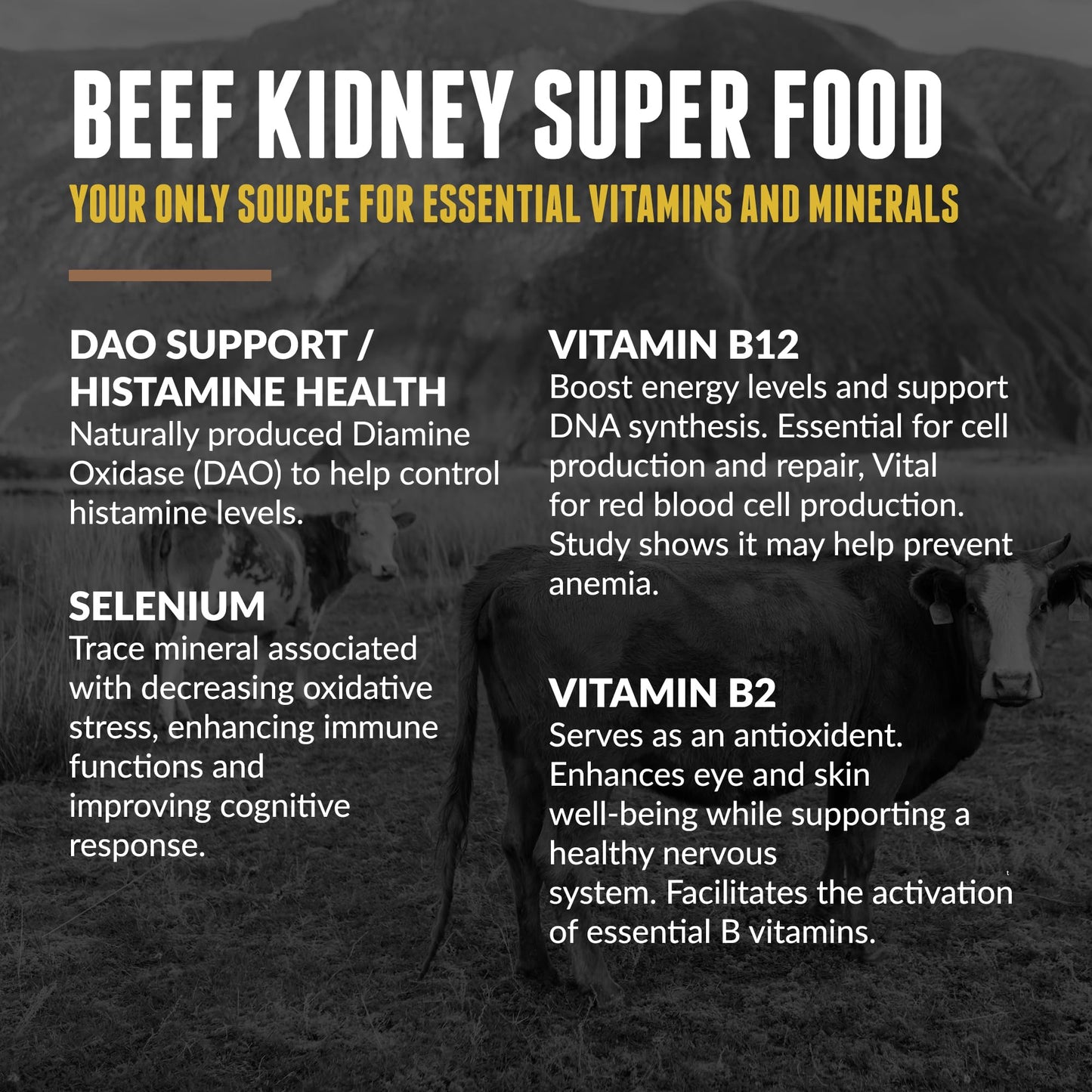 One Earth Health Grass Fed Beef Kidney Supplement Capsule 200 Count