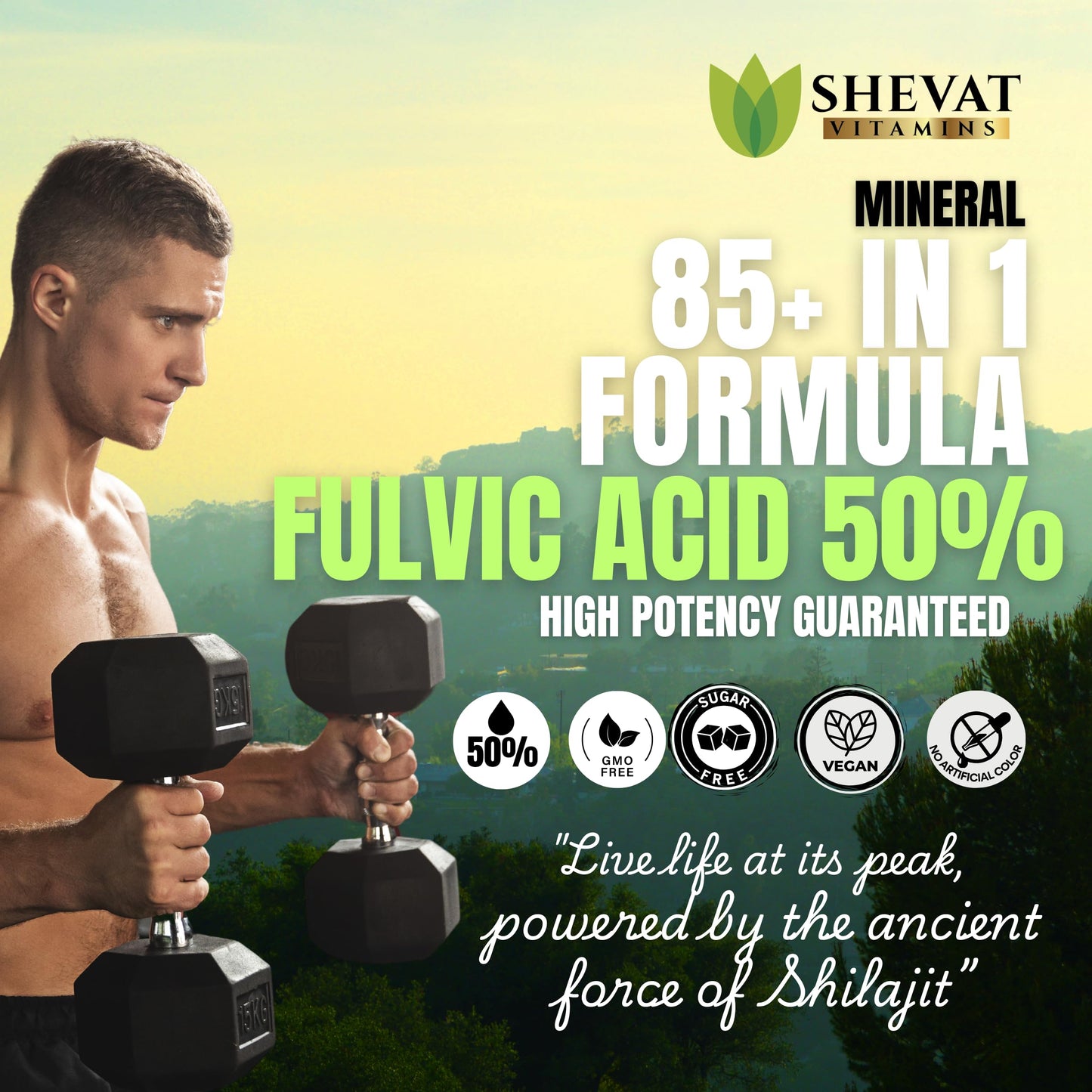 Shevat Vitamins Shilajit Capsules 90 Capsules