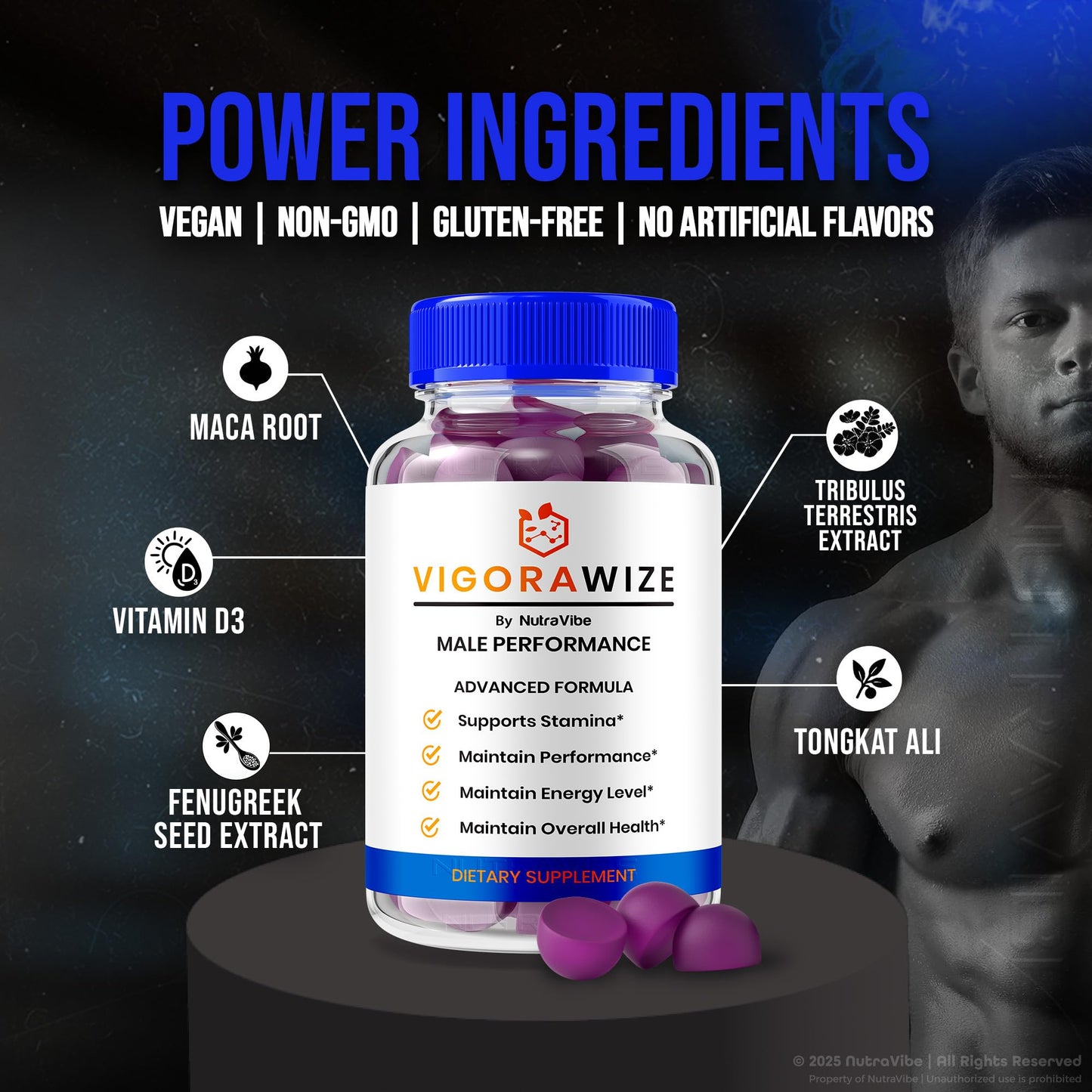 NutraRize Vigorawize Gummies 180 Gummies