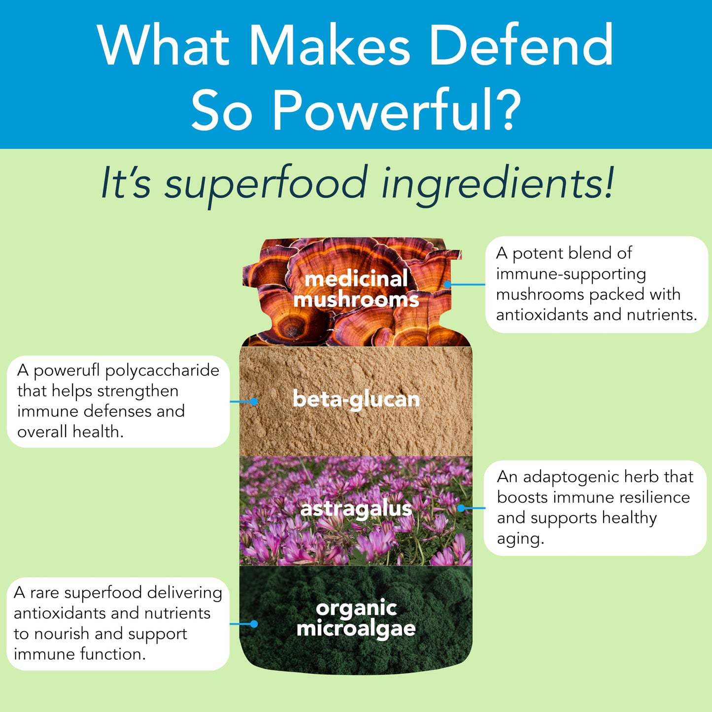 New Earth Defend Immune Support Mushroom Supplement Capsules, 90