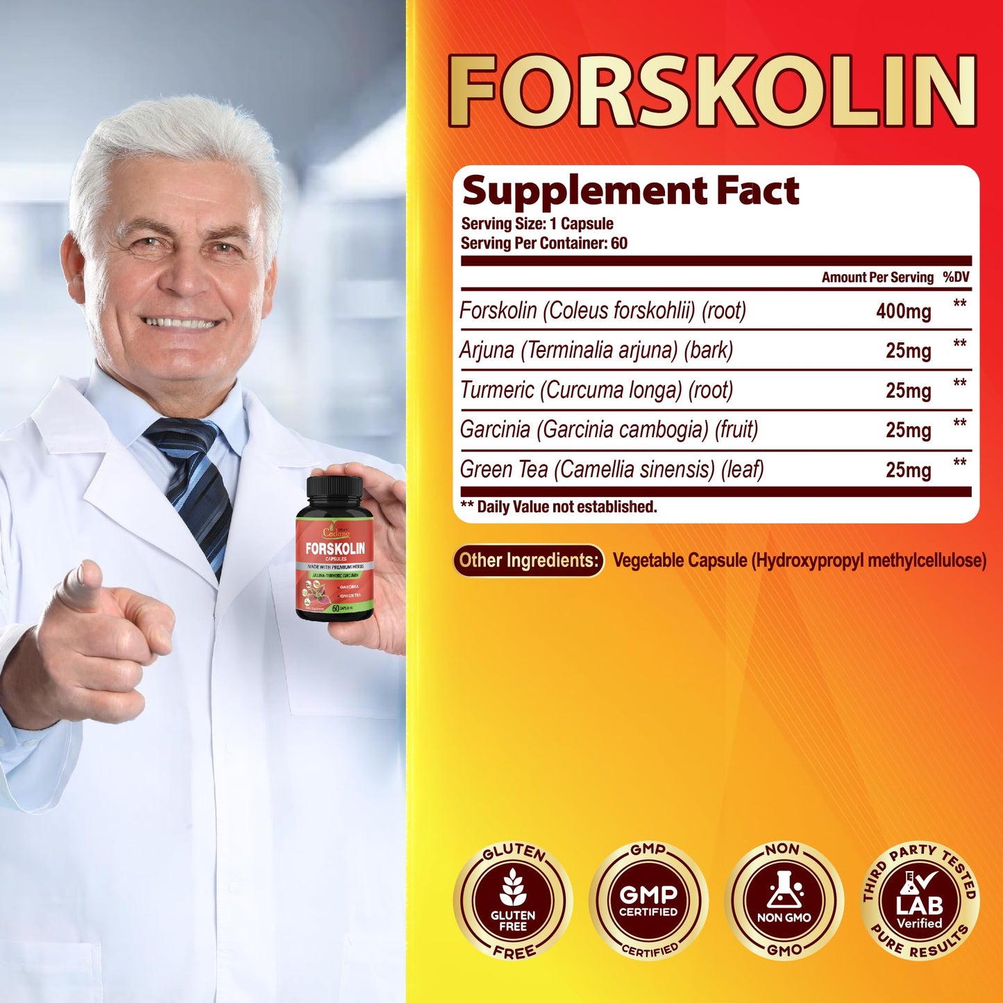 Organic Cadane Forskolin Supplements Capsule 120