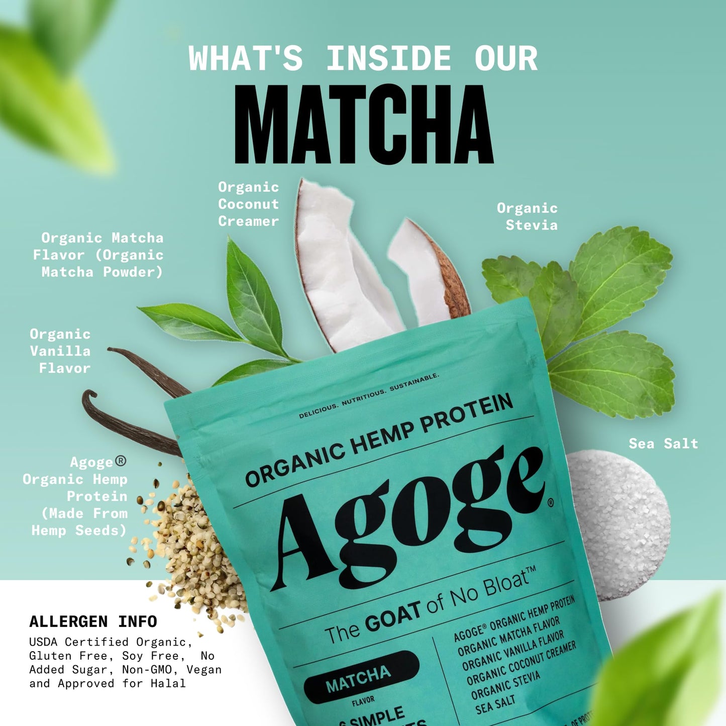 Agoge USDA Organic Hemp Protein Powder Matcha Flavor, 20 Servings