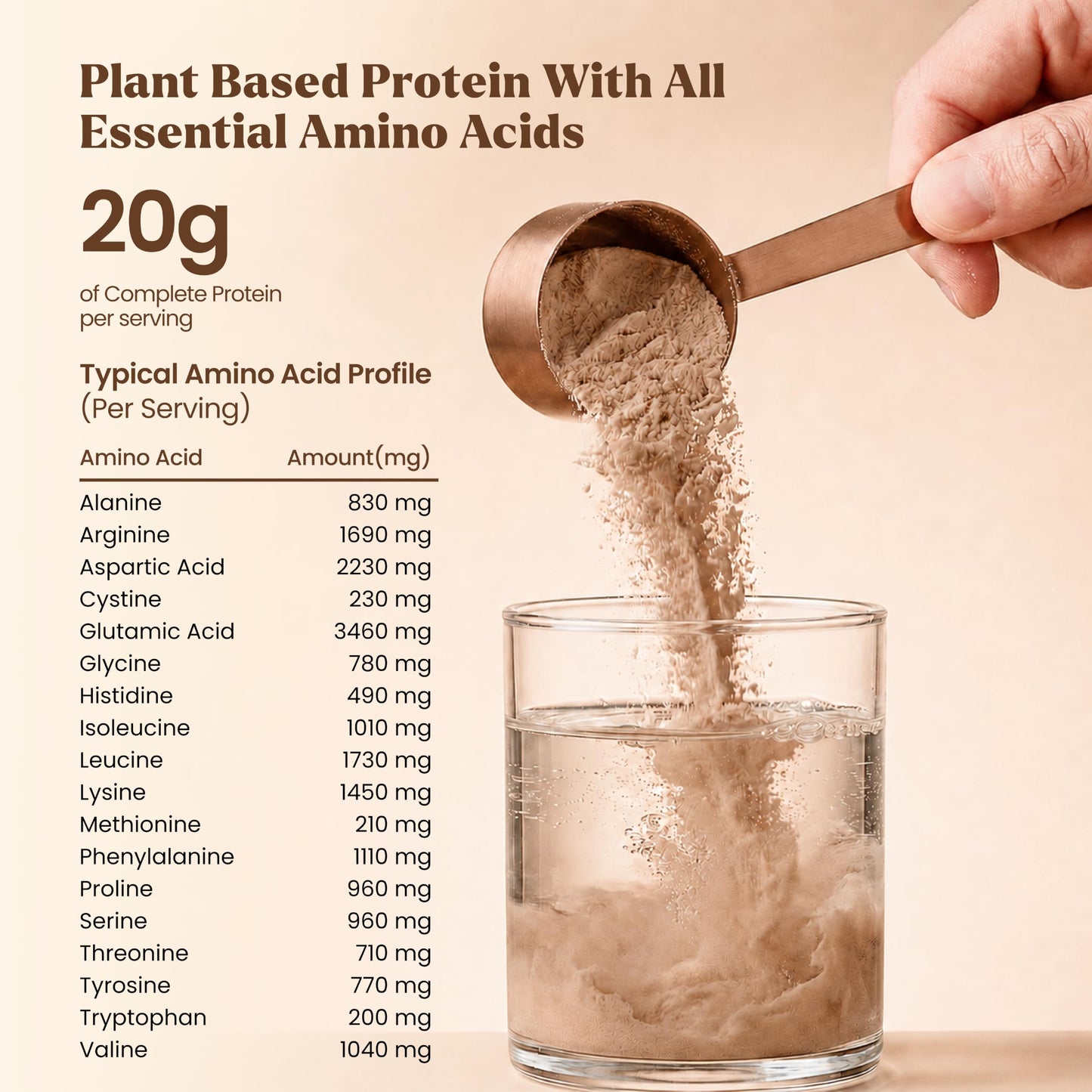 Elements Truffles Chocolate Plant Protein Powder, 20g Protein