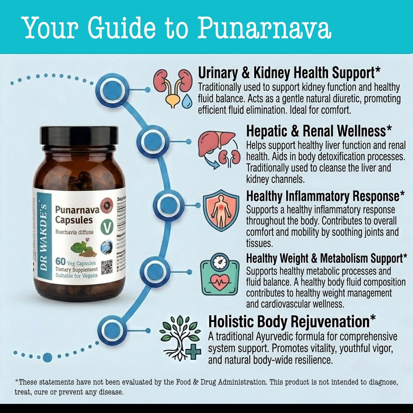 DR WAKDE'S Punarnava Capsules, 1 Count