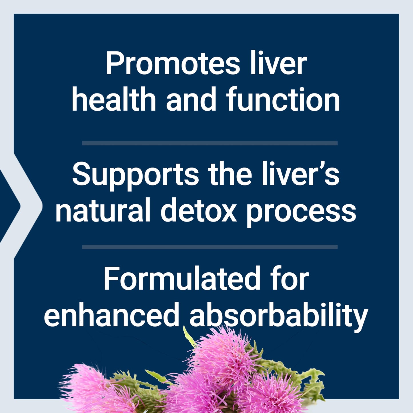 Life Extension Advanced Milk Thistle 120 Softgels