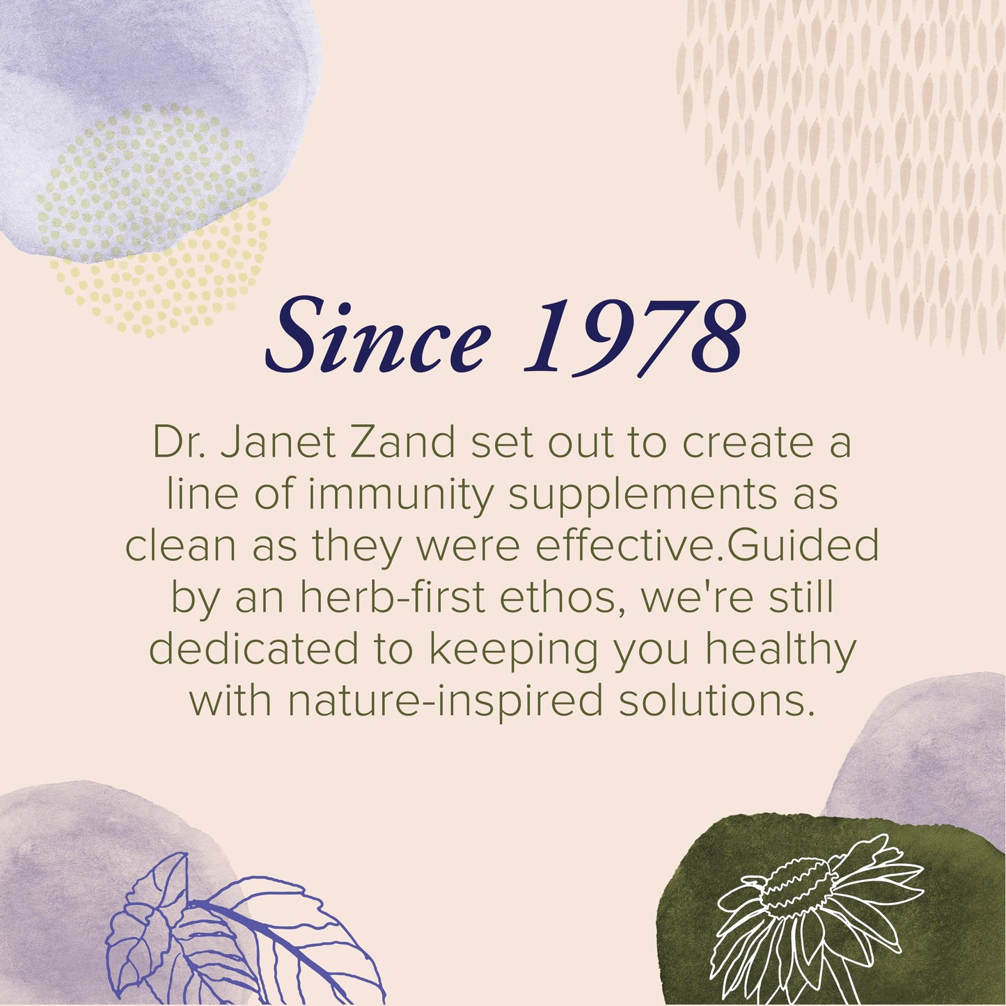 ZAND Immunity Cherry Echinacea Zinc Throat Lozenges 50 Count