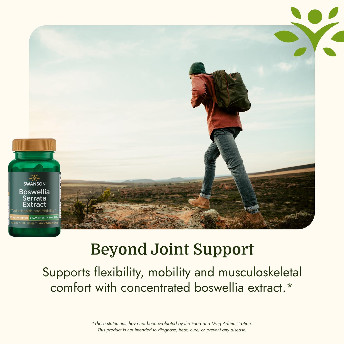 Swanson Boswellia Serrata Extract Capsule 60 Veggie Caps