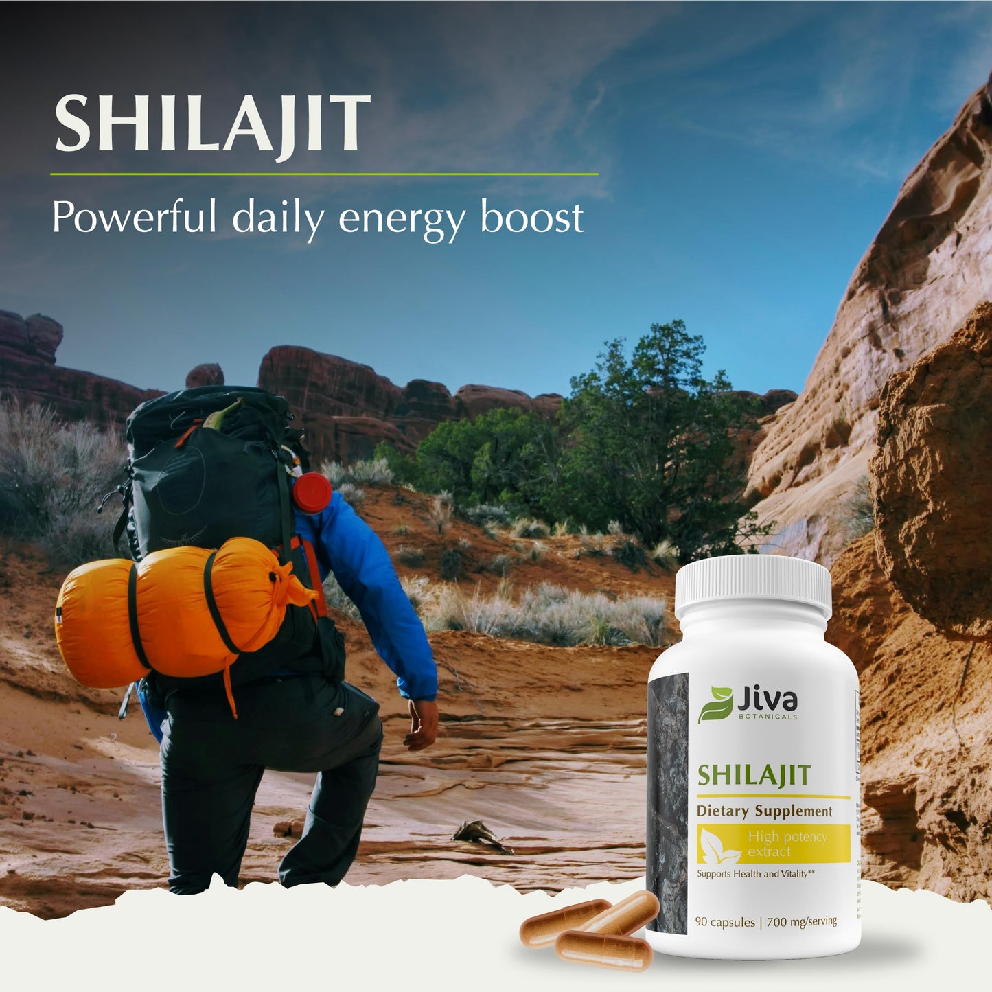 Jiva Botanicals Shilajit Capsules 700 mg with Fulvic Acid – Shilajit Supplement for Men & Women – 90 Vegan Capsules