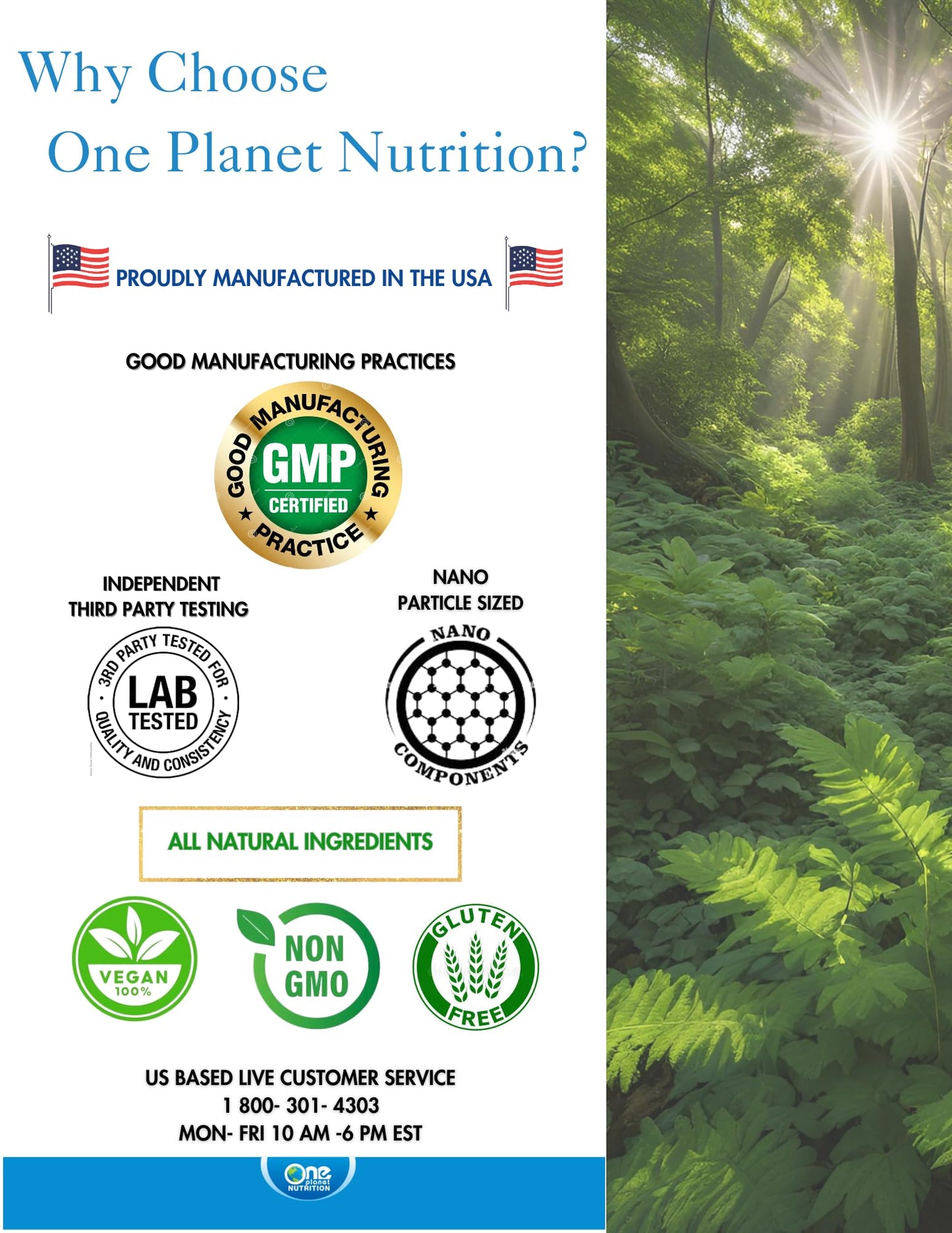 One Planet Nutrition Nano Boswellia 250 mg Veggie Capsules, 120 Capsules