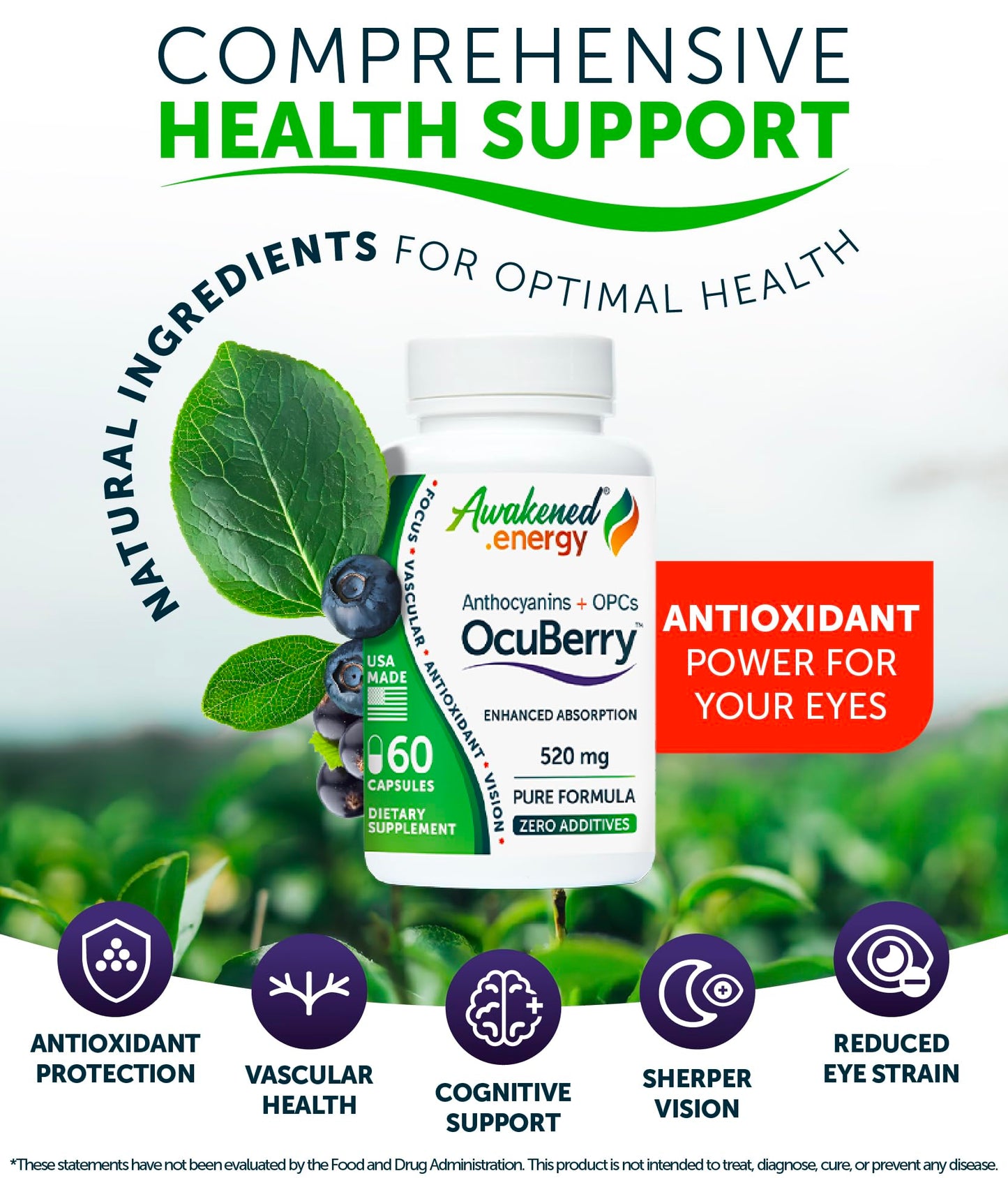 Awakened.energy OcuBerry Bilberry, Grape Seed, Black Currant & Black Rice Extracts Capsule, 60 Count