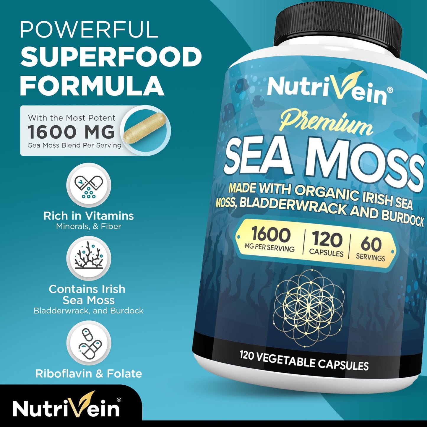 Nutrivein Premium Irish Sea Moss & Berberine Capsules Bundle, 240 Capsules
