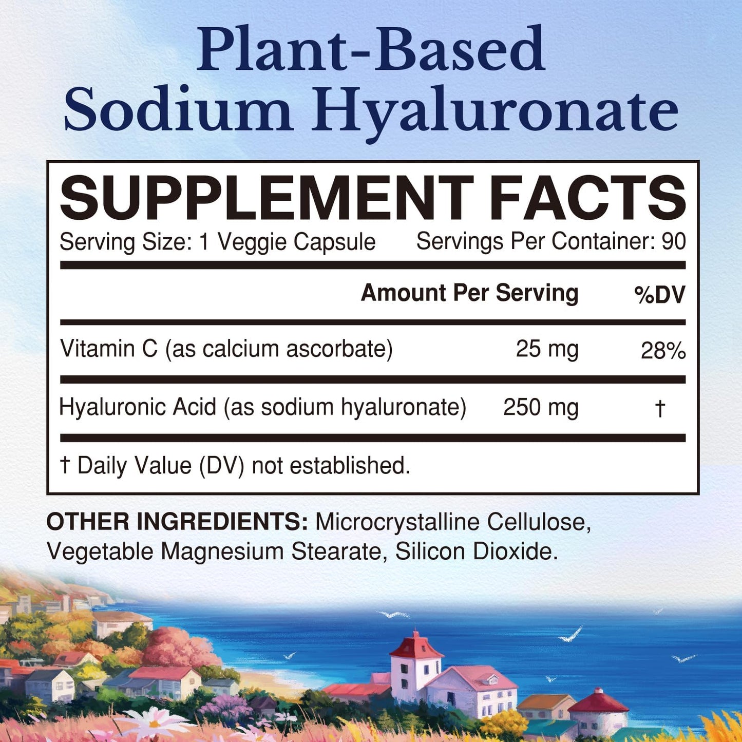 Vitalitown Hyaluronic Acid Supplements 250 mg, Plus 25 mg Vitamin C, Capsules, 90 Count