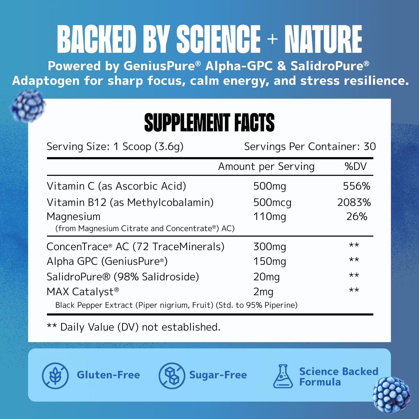Lithios Brain Fuel+ Nootropics Powder 3.4 oz