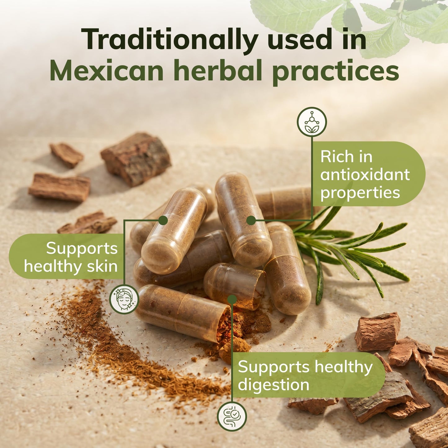 Evergreen Herbs Cuachalalate Capsules 90 Capsules