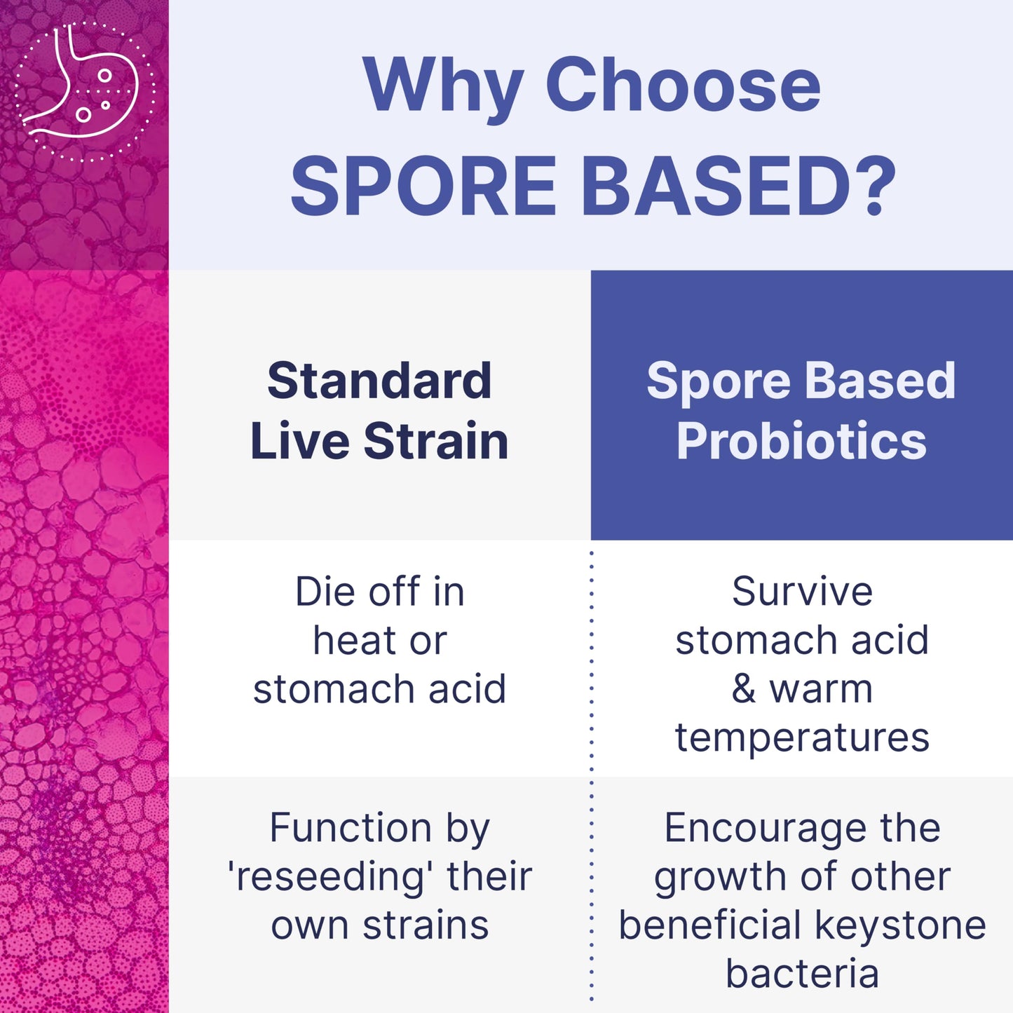 Microbiome Labs MegaSporeBiotic Probiotics for Women & Men - Spore-Based Probiotic for Gut Health & Digestive Support - 180 Capsules