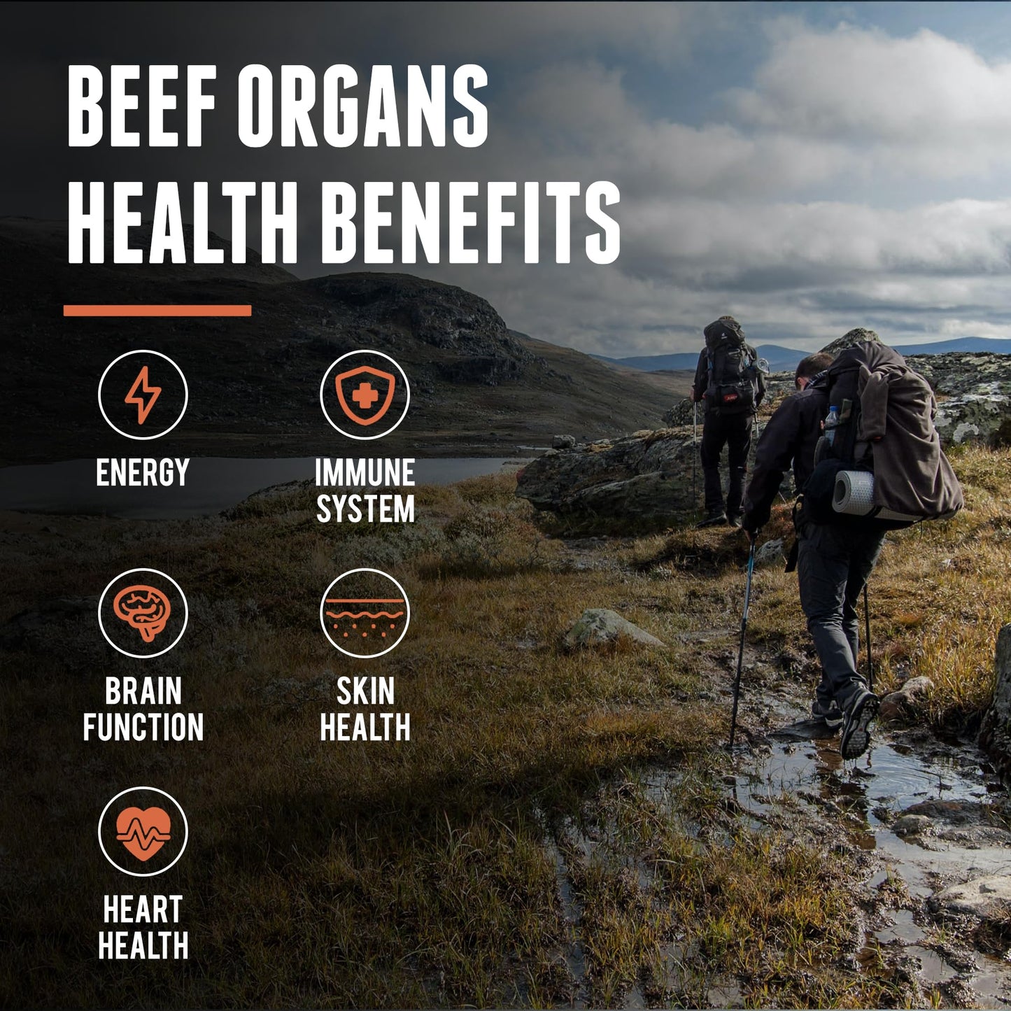 One Earth Health Beef Organs and Heart 120 Capsules