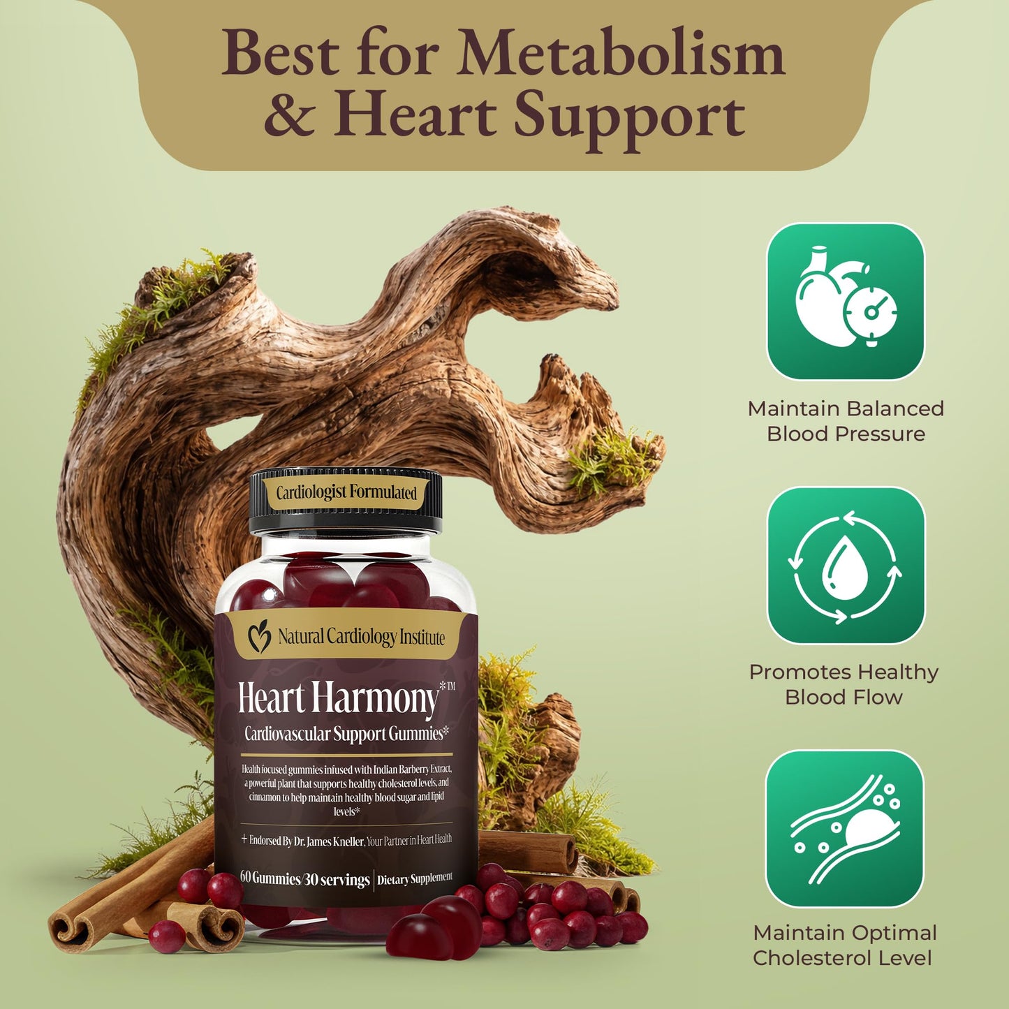 Natural Cardiology Institute Heart Harmony Berberine Supplement with Ceylon Cinnamon Gummies, 60 Count