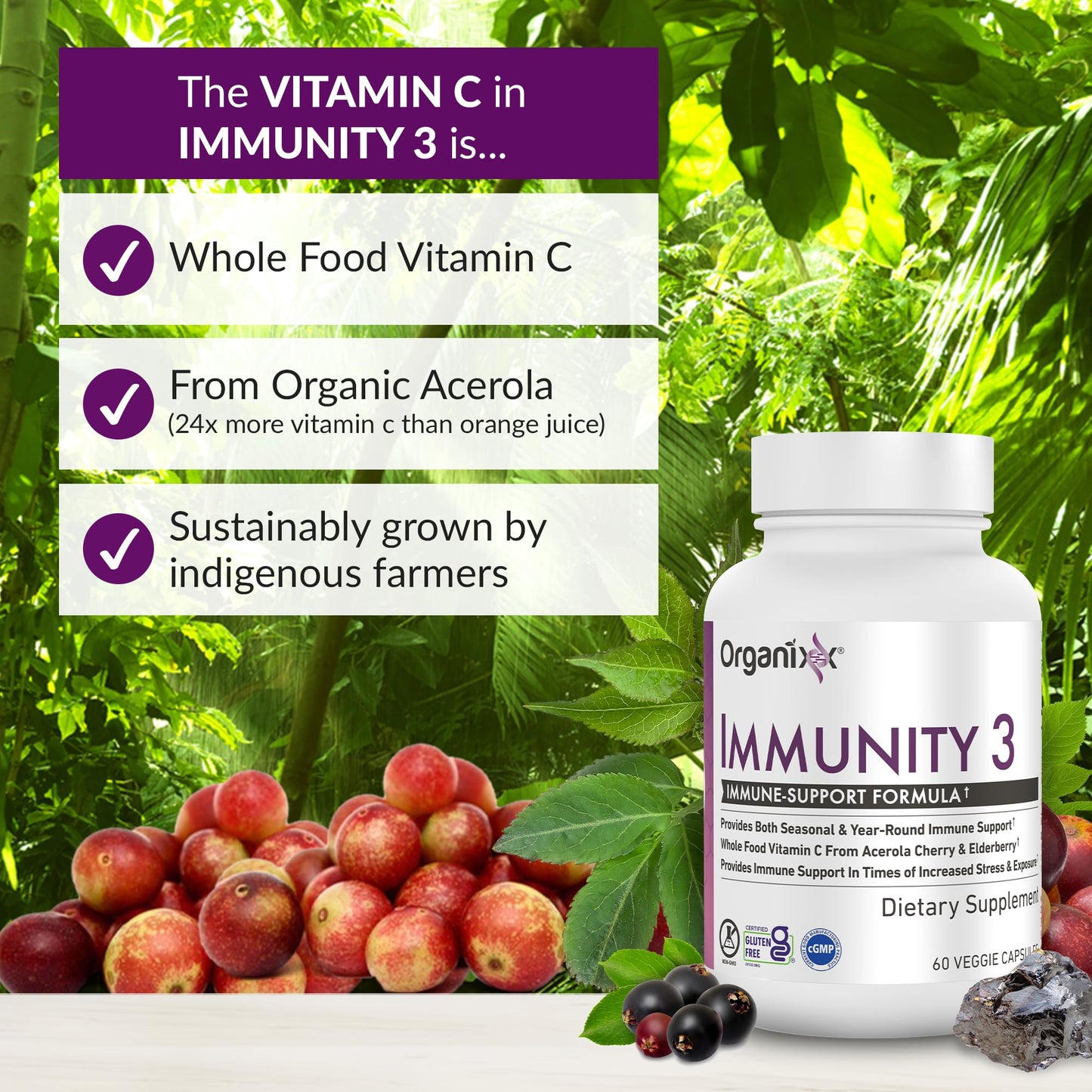 Organixx Immunity 3 Immune Support Supplement – Vitamin C, Zinc, Elderberry – 60 Capsules