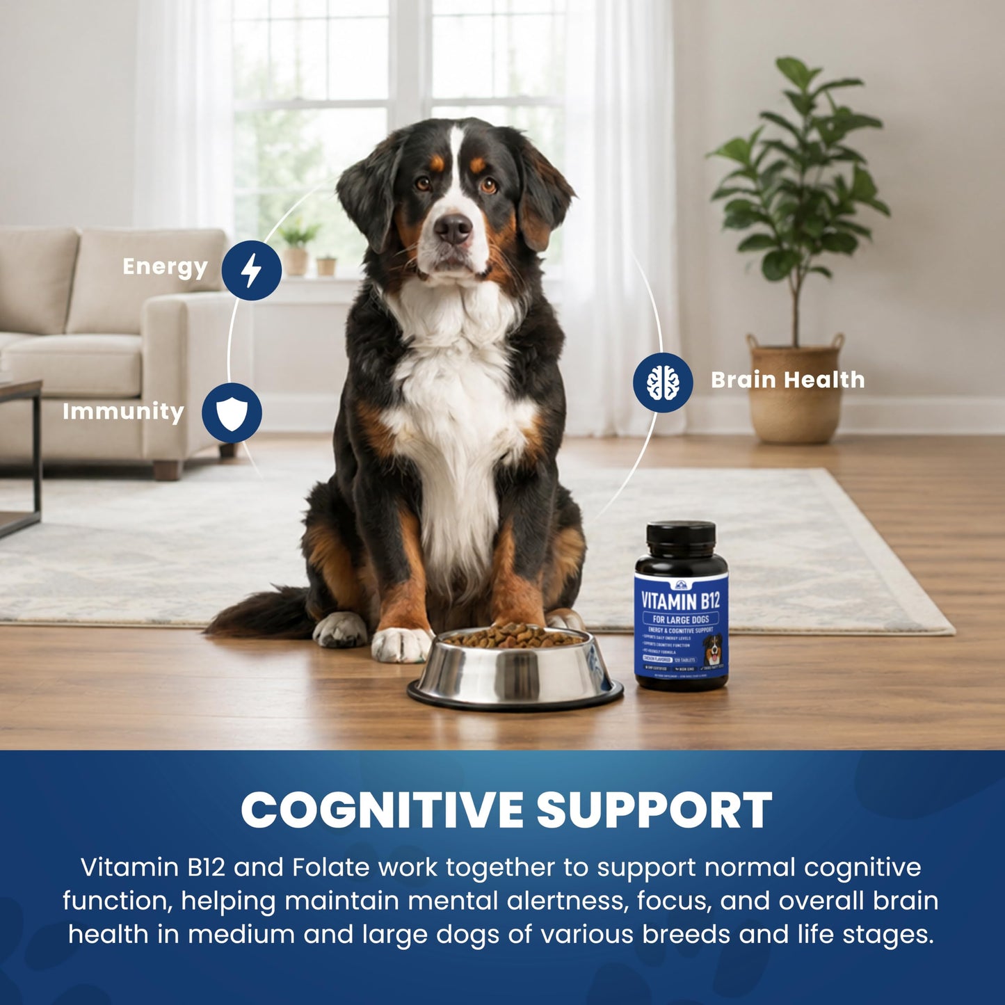 Peak Pets Vitamin B12 Supplement for Medium & Large Dogs Tablet 120 Count