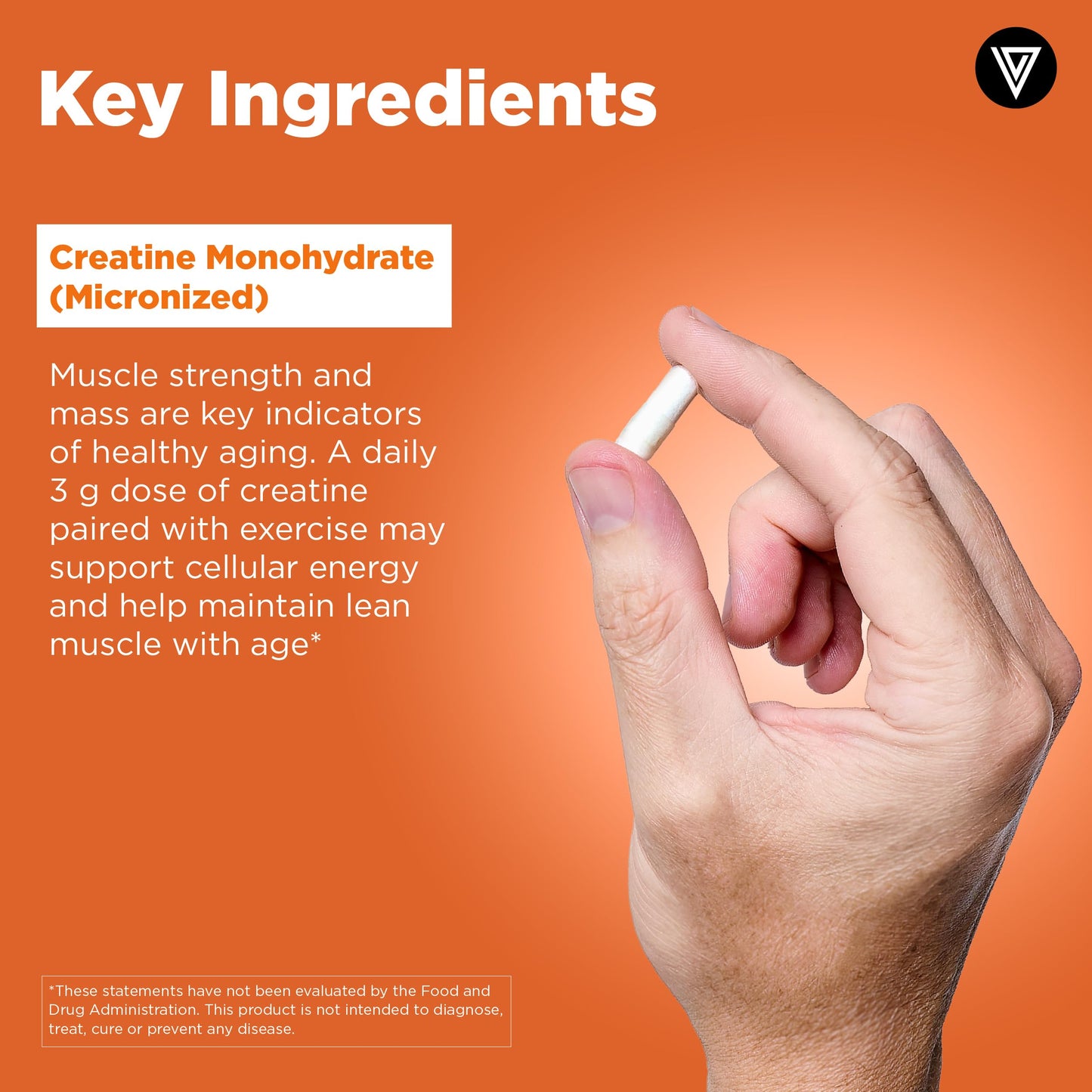 Vital Vitamins Creatine Monohydrate Capsule 120 Count