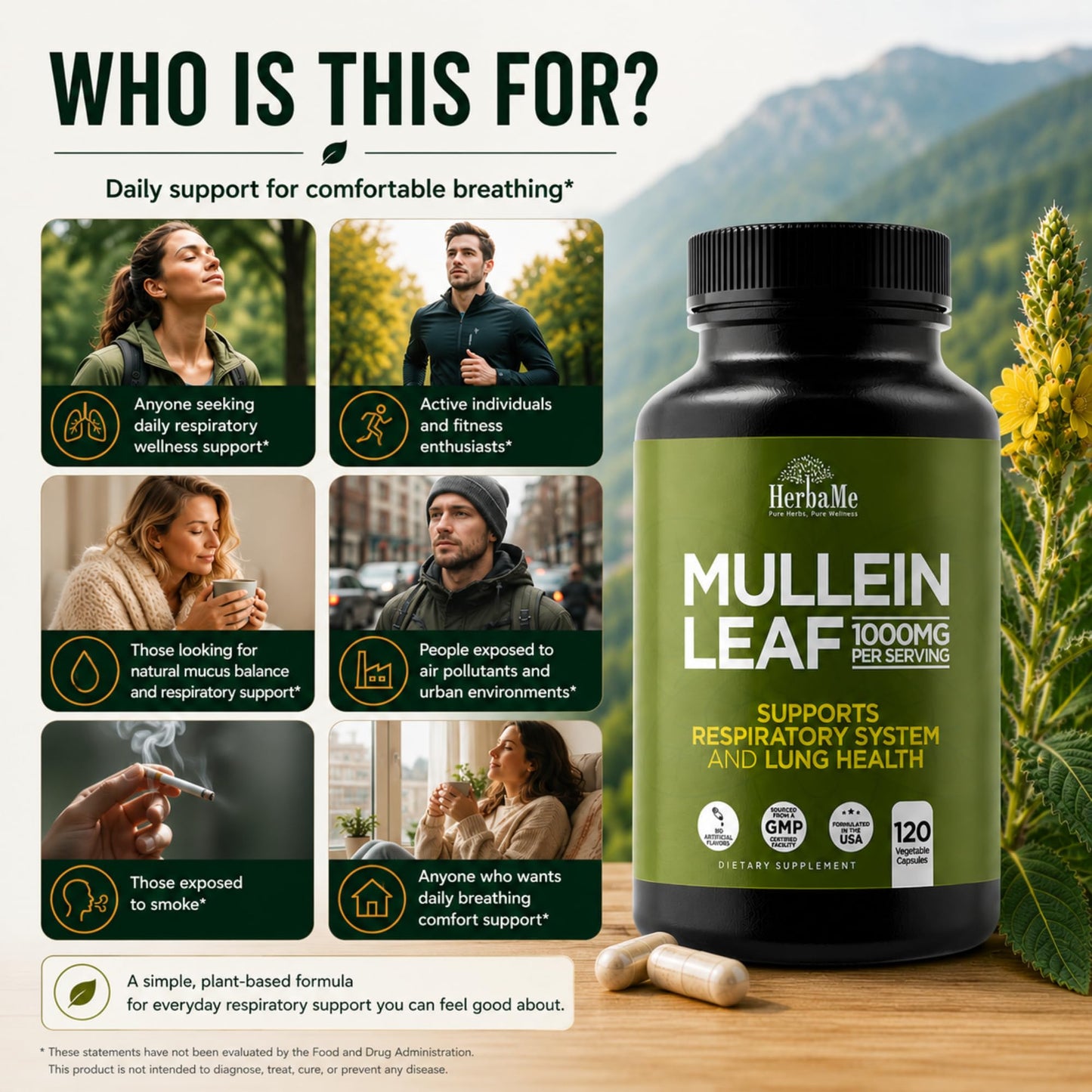 HerbaMe Mullein Leaf 1000mg Capsules, 120 Count