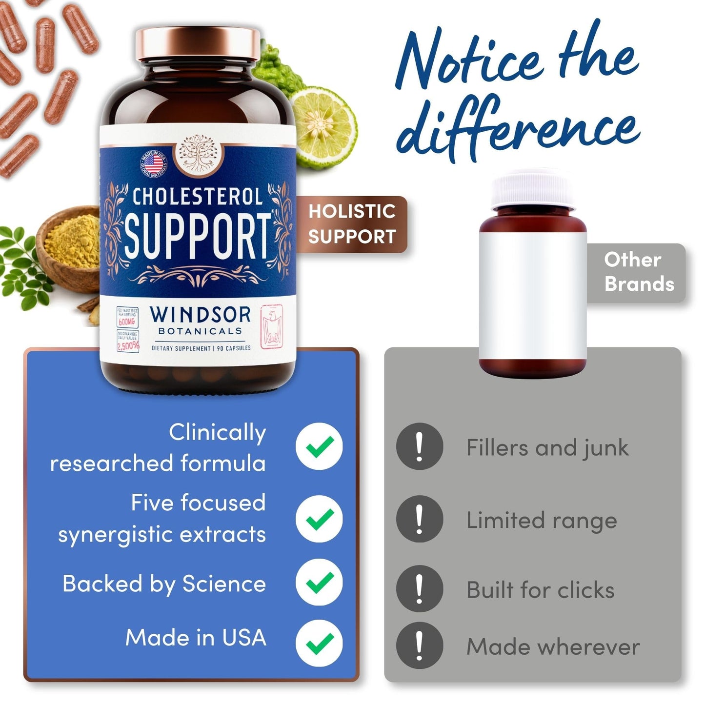 WINDSOR BOTANICALS Cholesterol Supplements Capsules 90