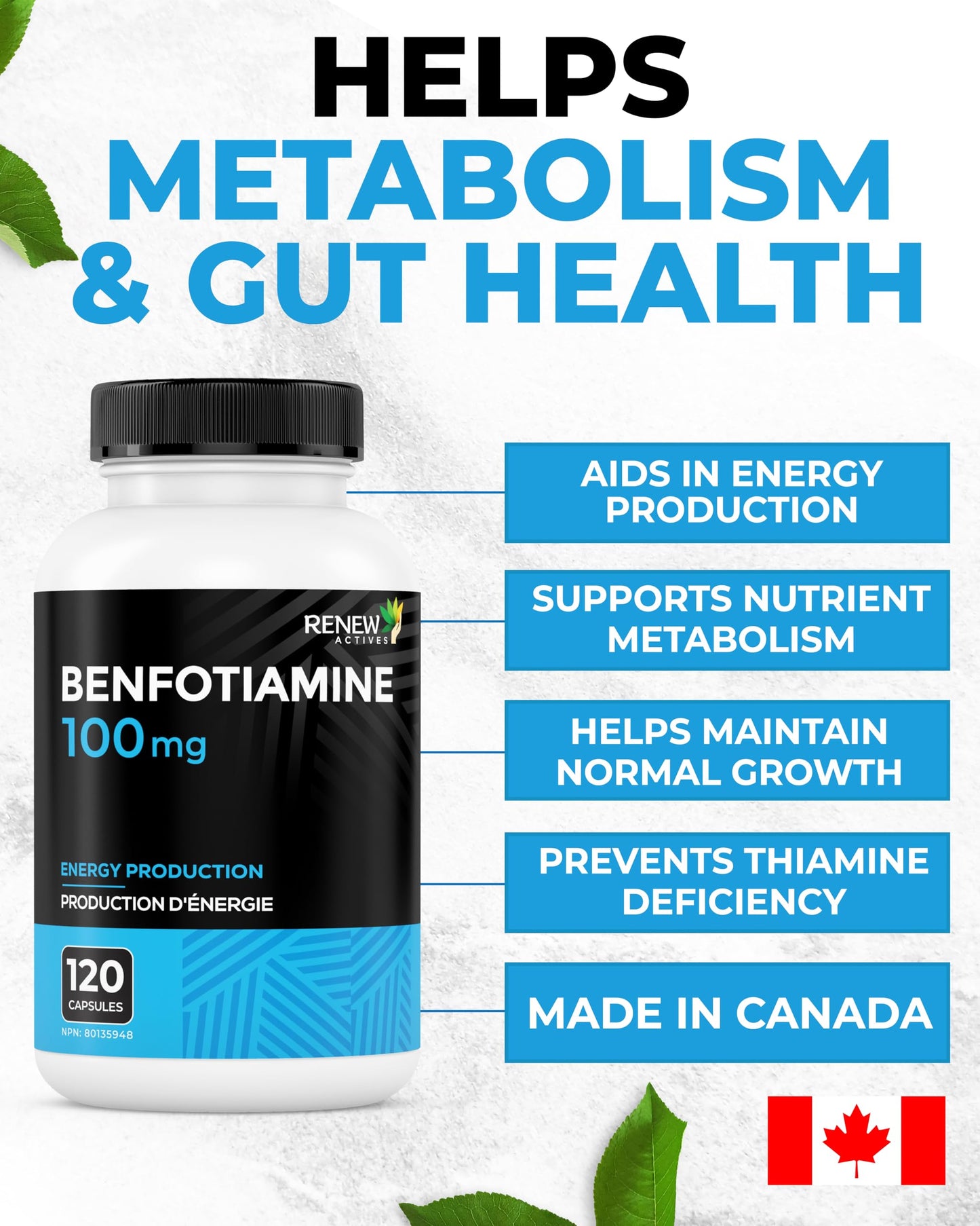 Renew Actives Benfotiamine 100mg – Supports Energy Production & Overall Wellness, 60 Capsules