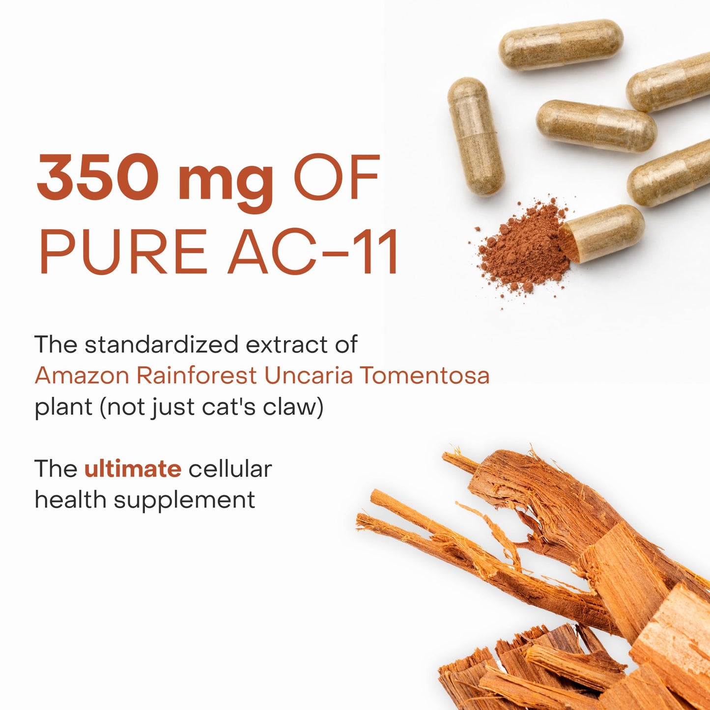 Healthycell Anti-Aging Supplement for DNA Repair and Stem Cell Health, AC-11 - Bioactive Extract of Uncaria Tomentosa (Cat’s Claw) Supports a Healthy Immune System - Vegan, Soy-Free & Gluten-Free Capsules, 30