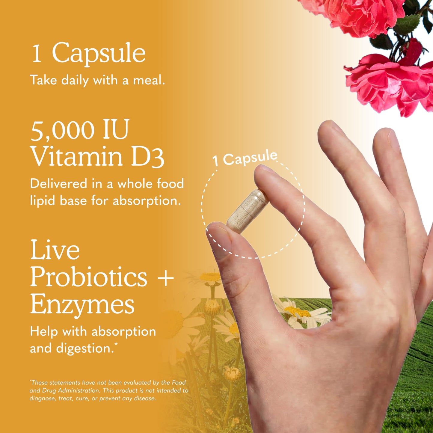 Garden of Life Vitamin D3 5000 IU Capsules, 60 Count