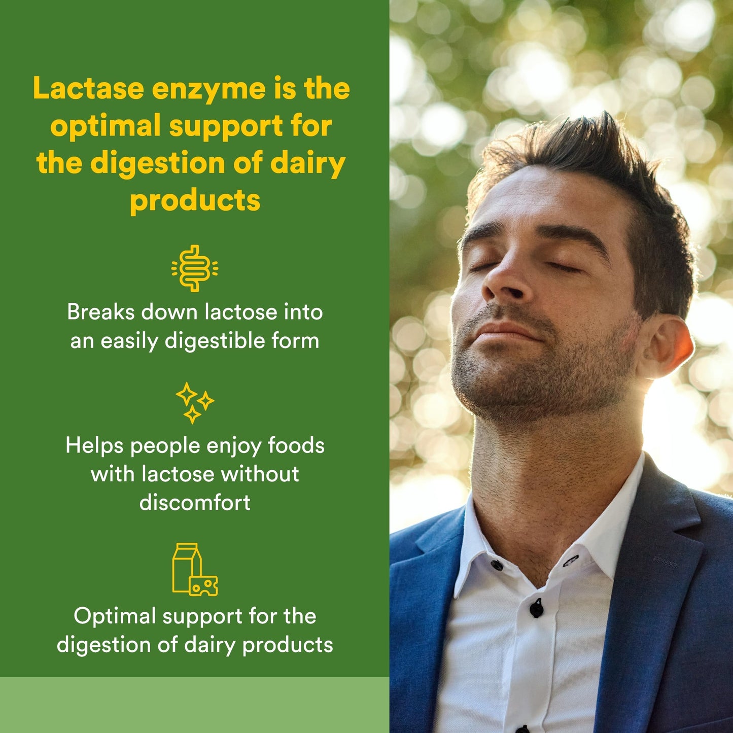 Natural Factors Lactase Enzyme Capsule 60 Capsules