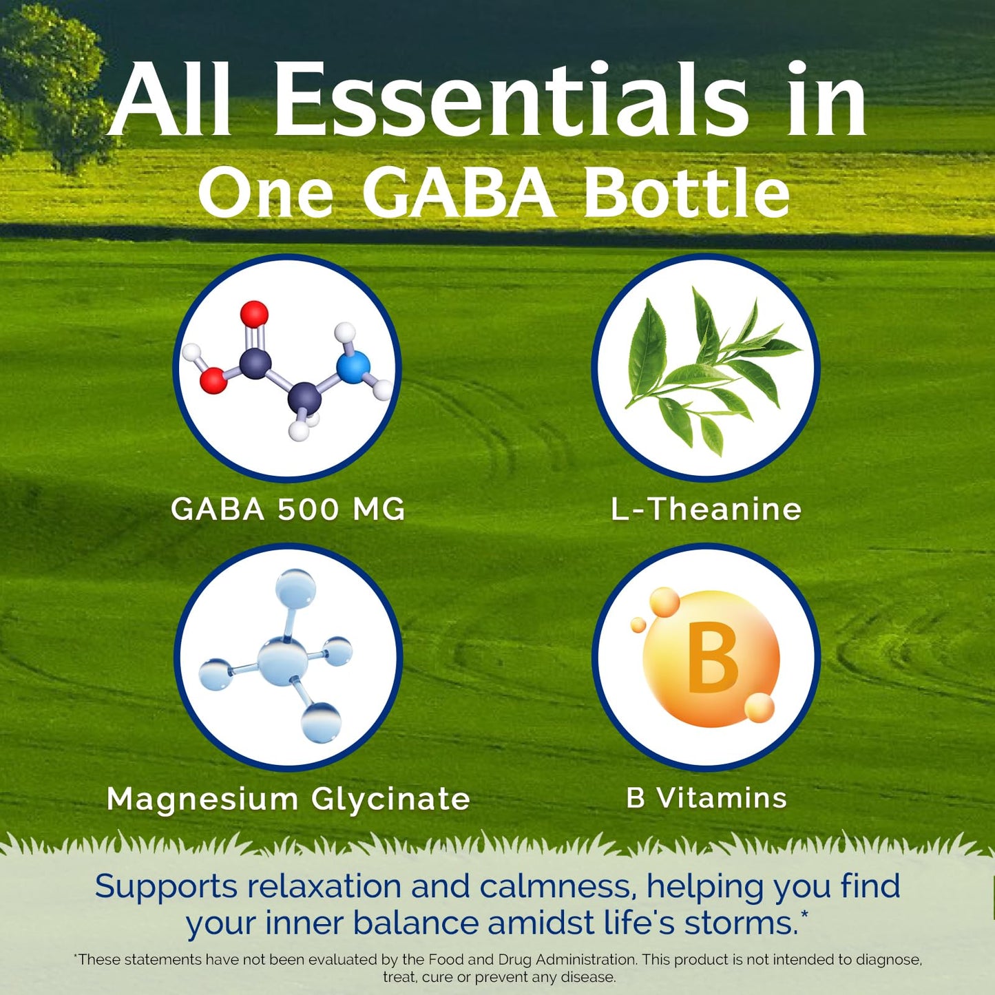 Innate Vitality GABA with L-Theanine, Magnesium Glycinate, B Complex, Vitamin B6 Capsules 120