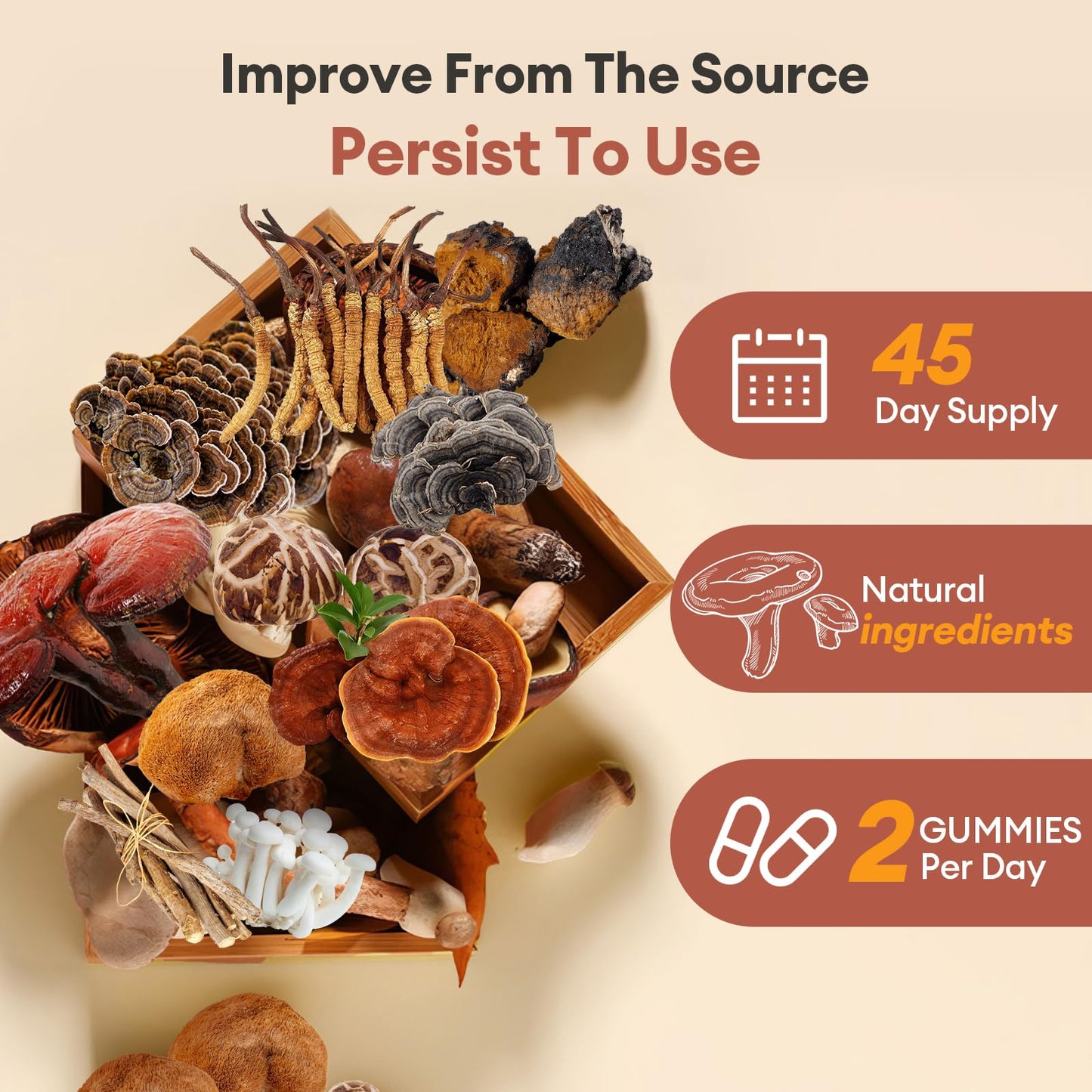 REVERB Mushroom Gummies 16-In-1 Mushroom Blend with Ashwagandha, Brain Health & Focus, 90 Gummies