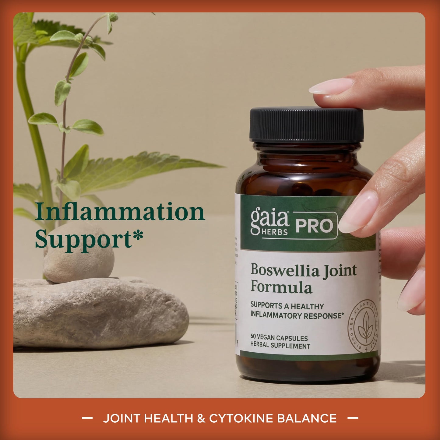 GAIA HERBS PRO Boswellia Joint Formula - Joint Health & Mobility Support, 60 Vegan Capsules